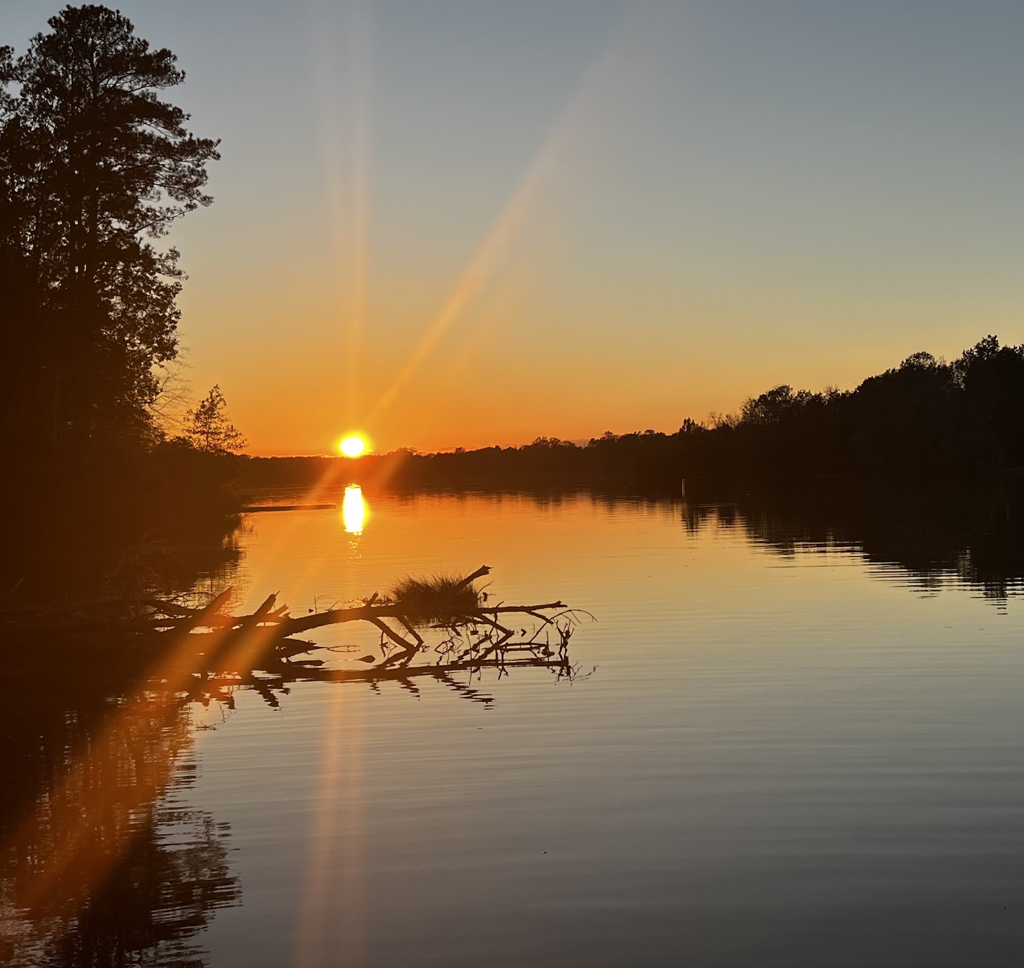 Millers Ferry Campground