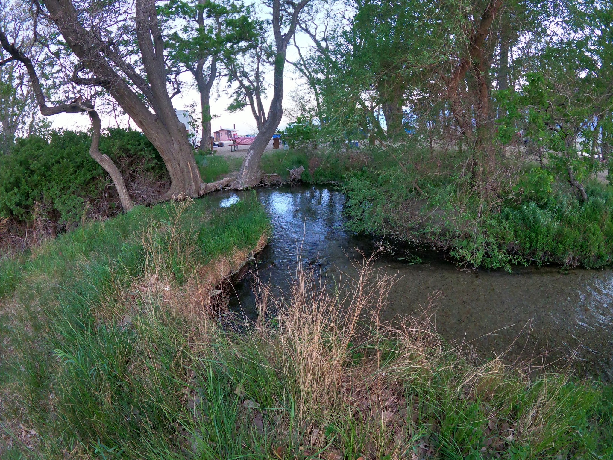 Taboose Creek Campground