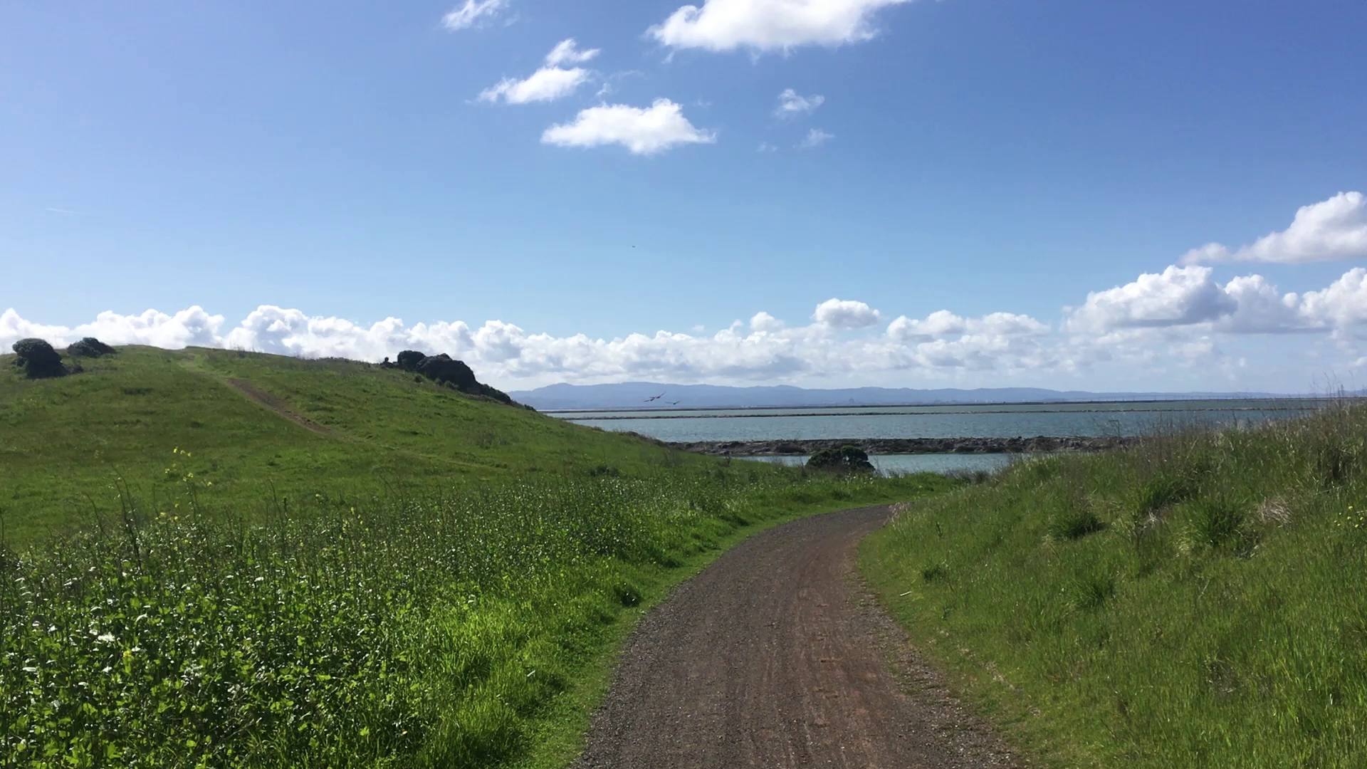 Coyote Hills Regional Park