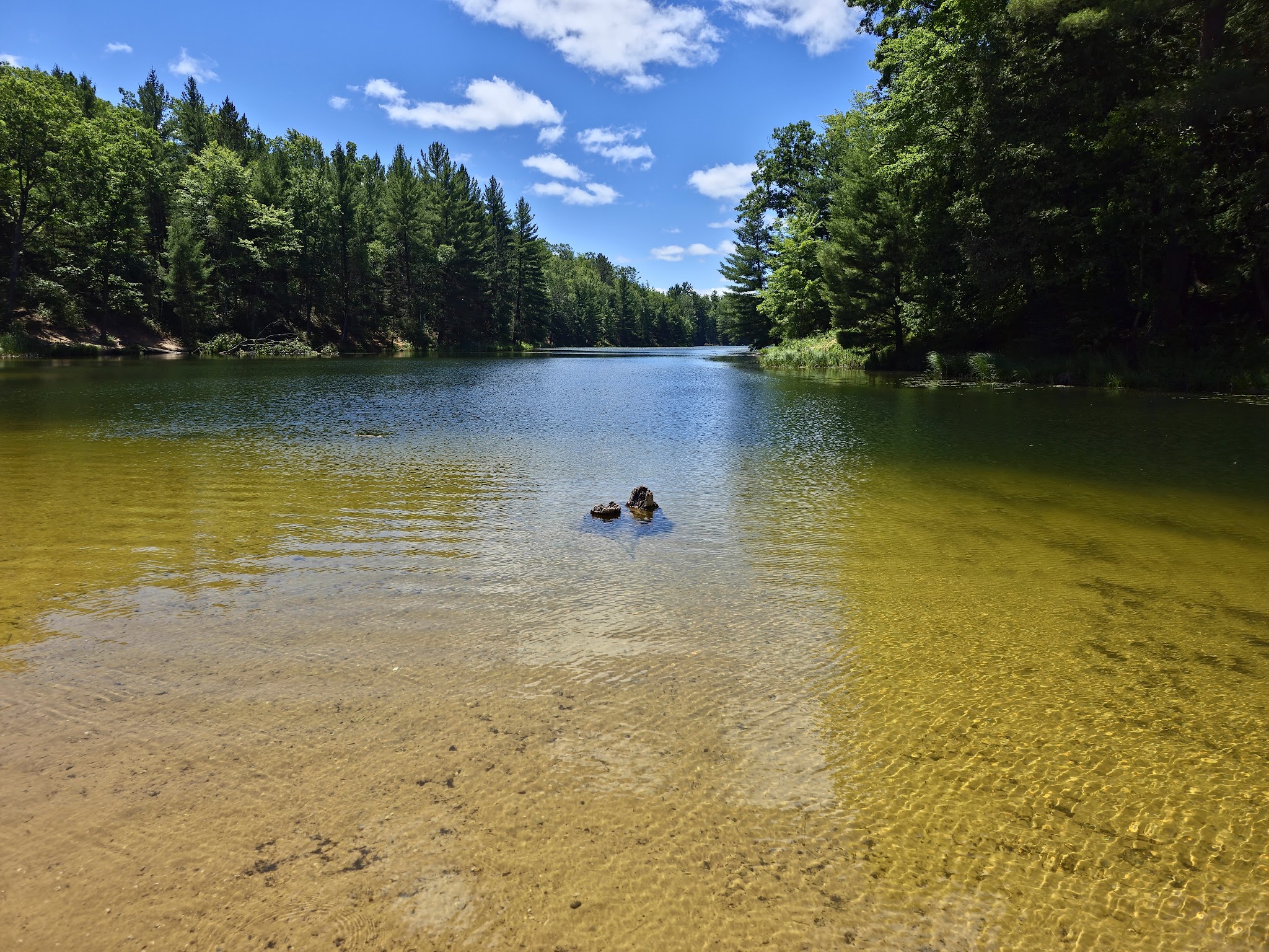Trout Lake State Forest Campground