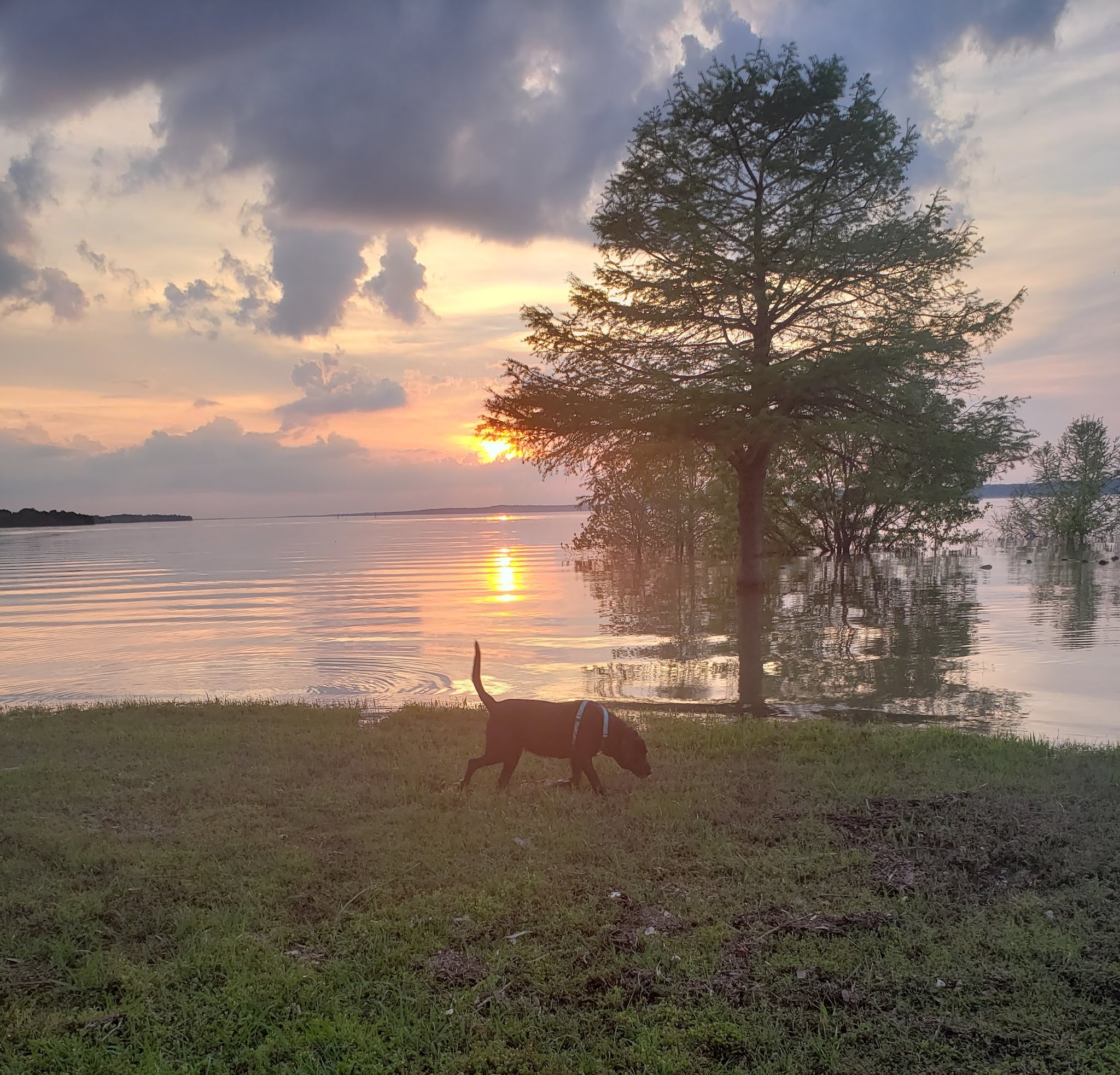 Water Valley Landing