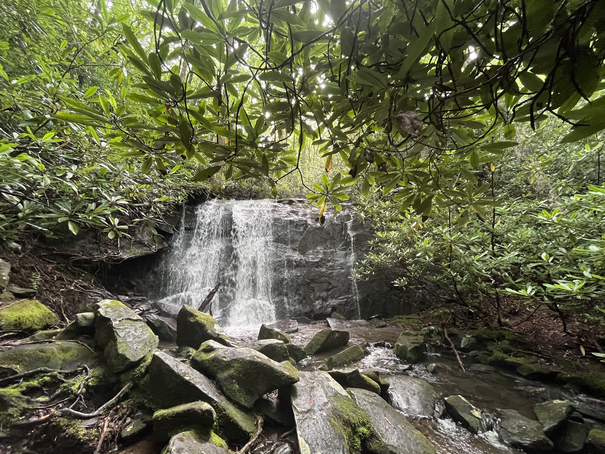 Holder Cove Campground