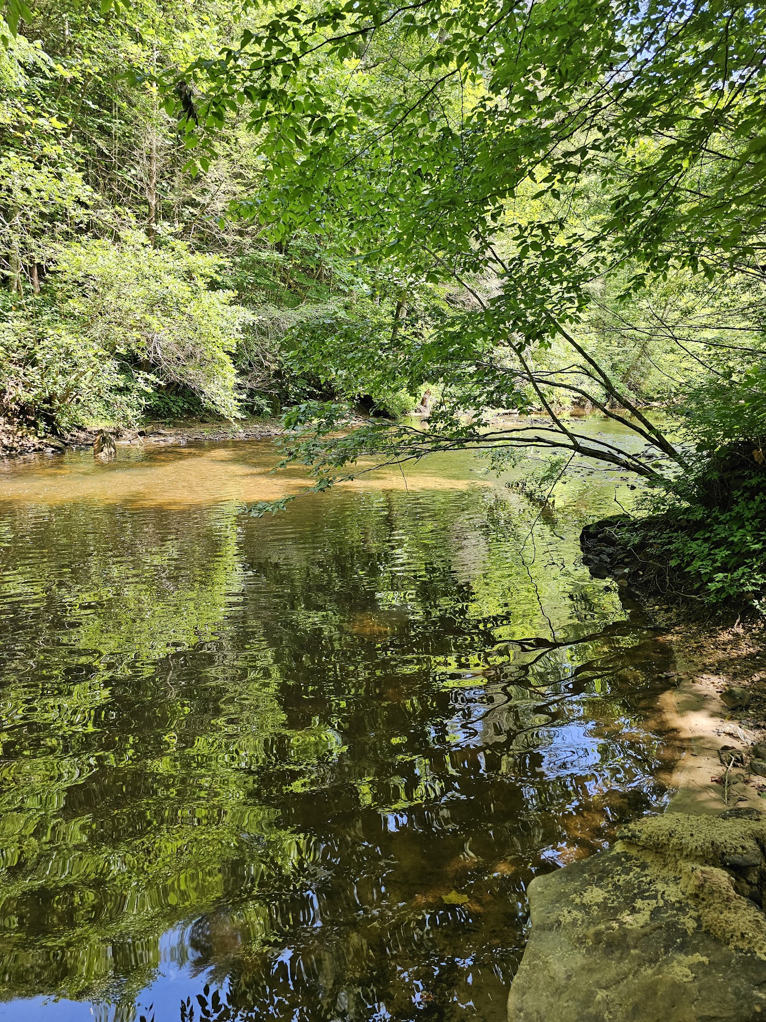 Great Meadows Campground