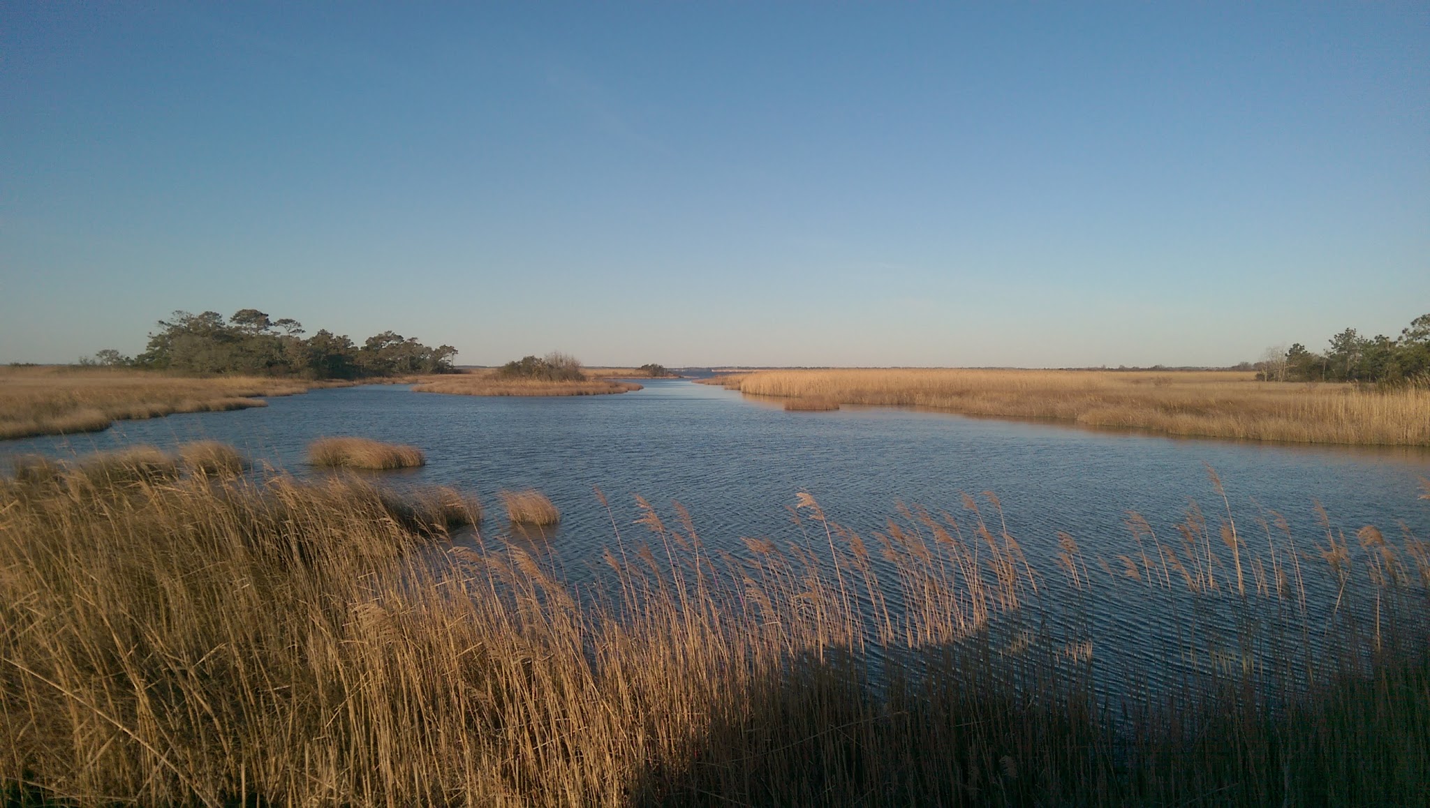 False Cape Oceanside Campground
