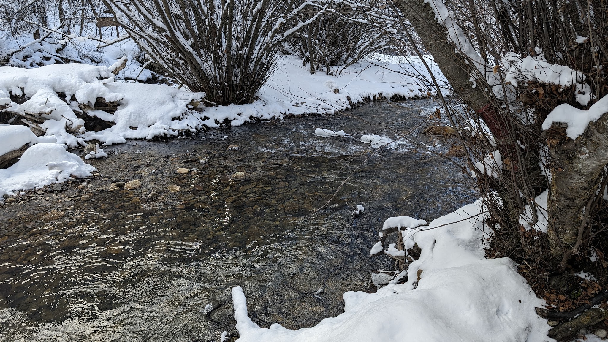 High Creek Campground