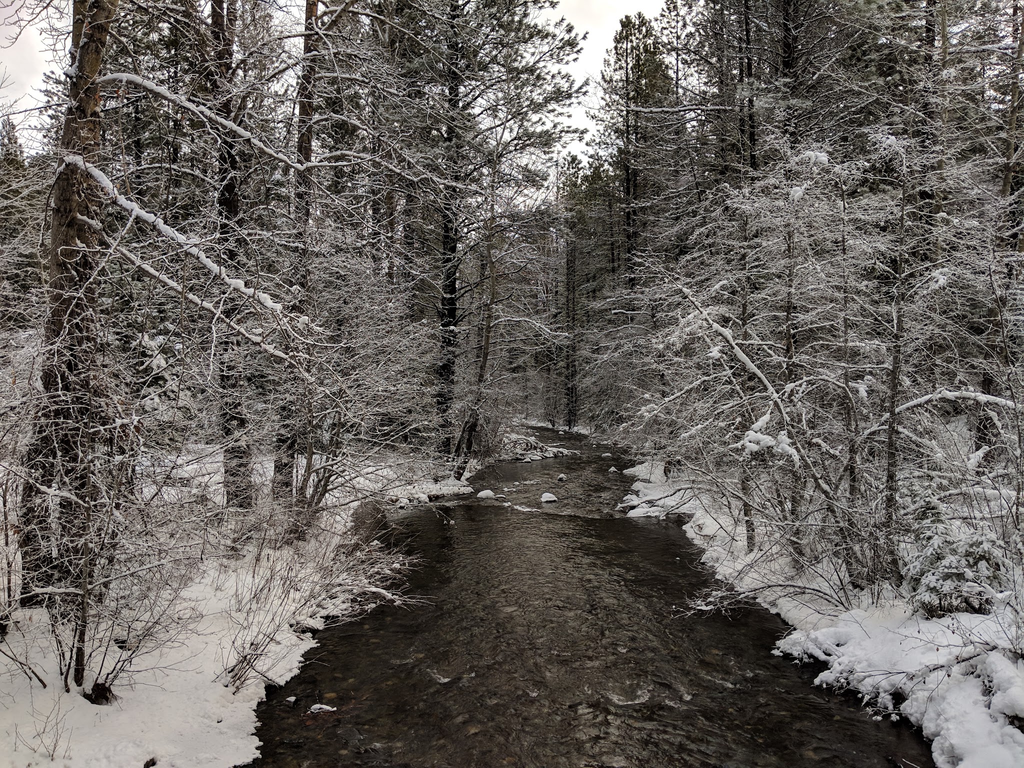 Icewater Creek Campground