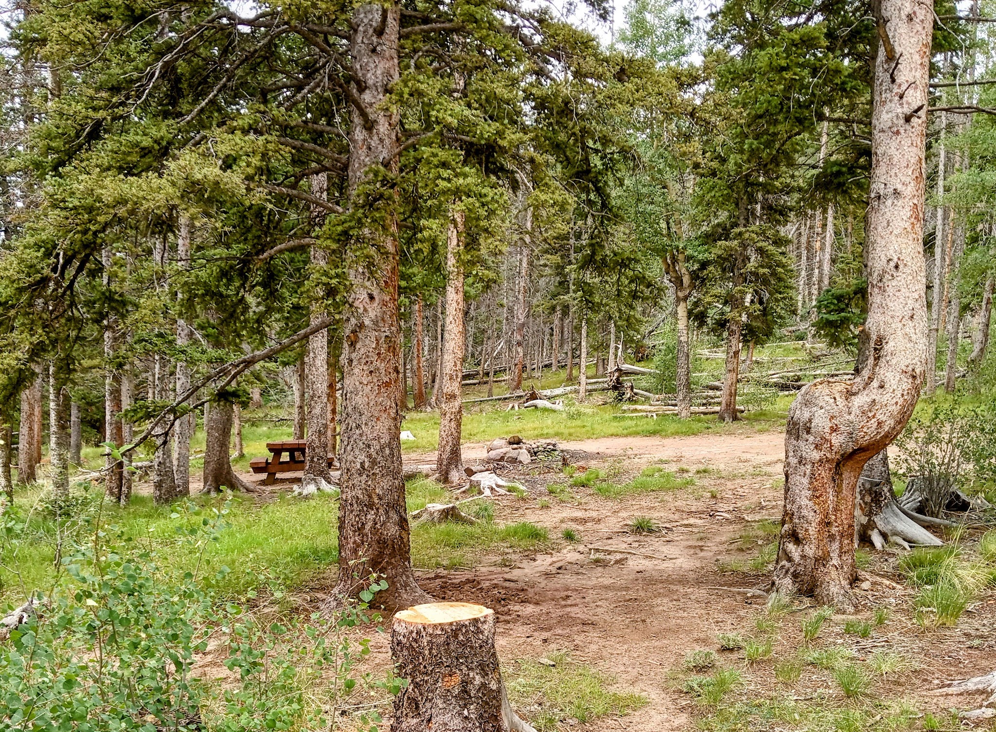 Upper Lagunitas / Lower Lagunitas Campgrounds