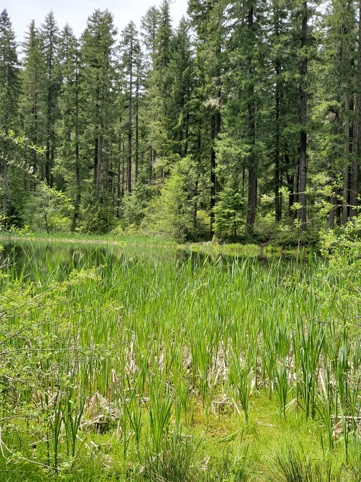 Lake In The Woods Campground
