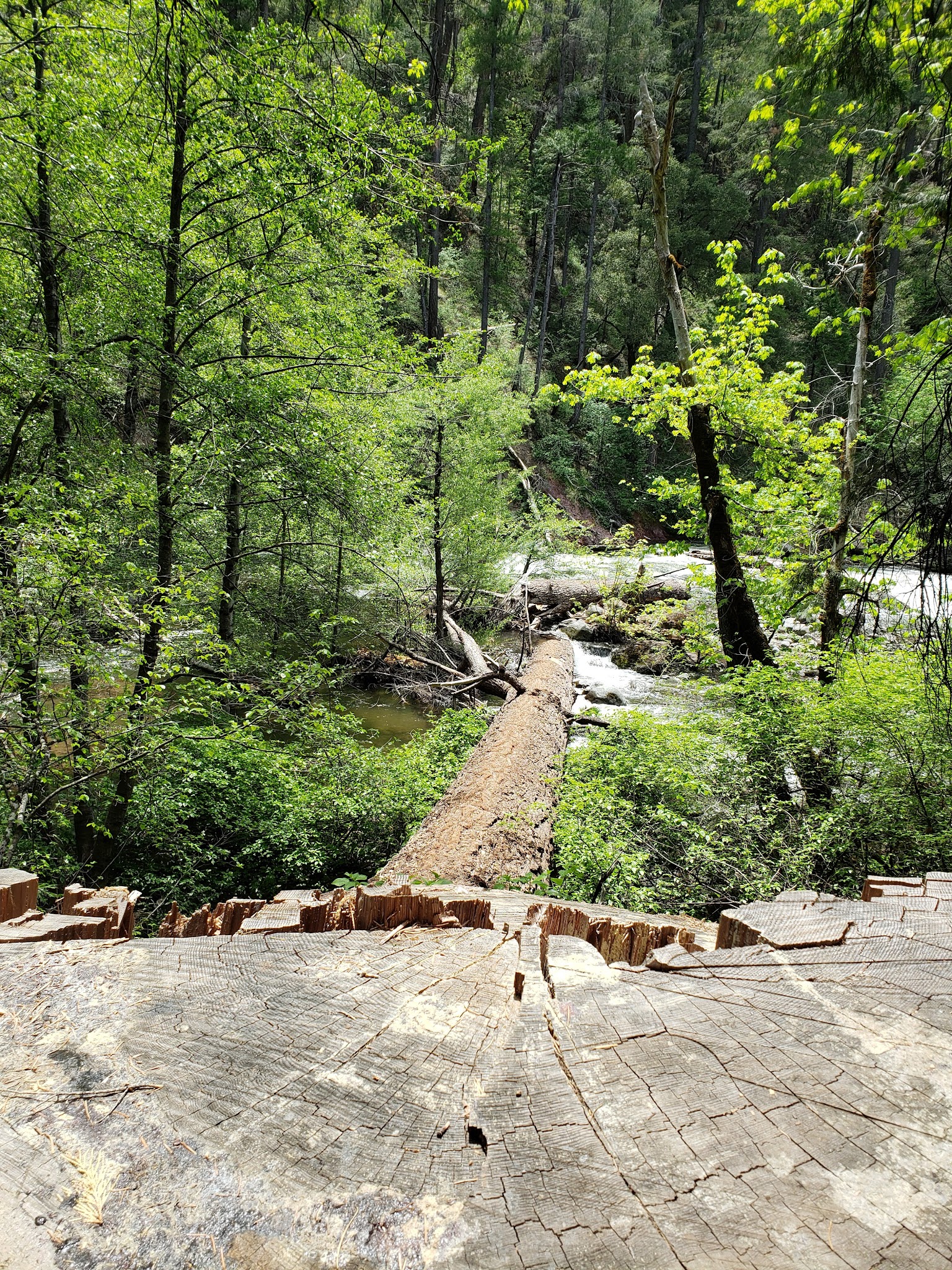 Potato Patch Campground
