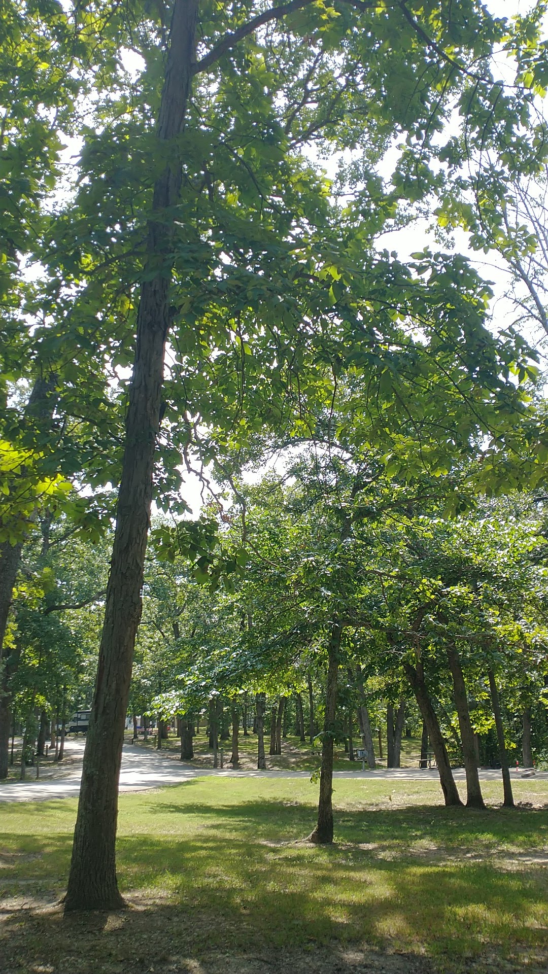 Knob Noster State Park Campground