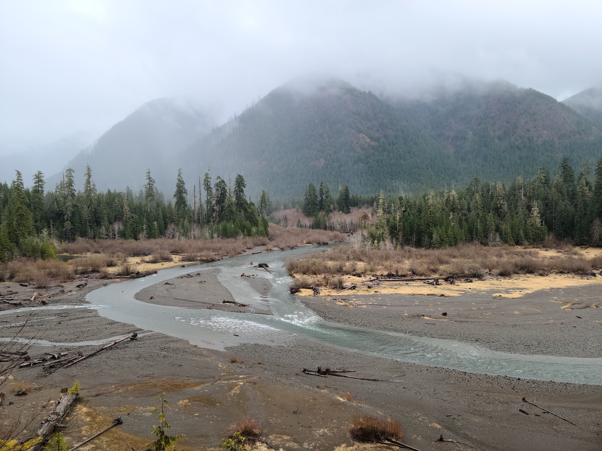 Wynoochee Lake Shore Trailhead - Coho Campground