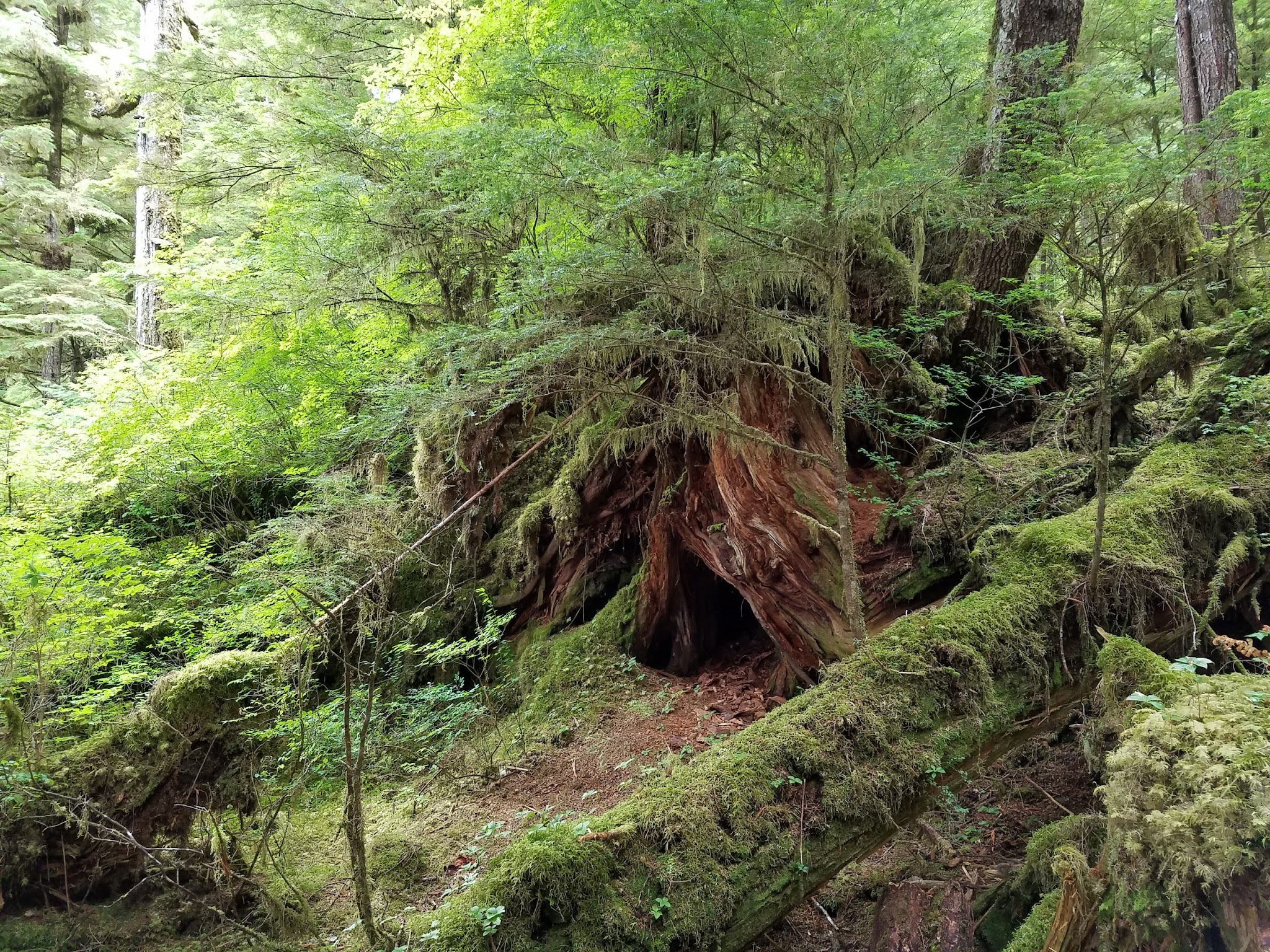 Settler&Apos;S Cove State Recreation Site