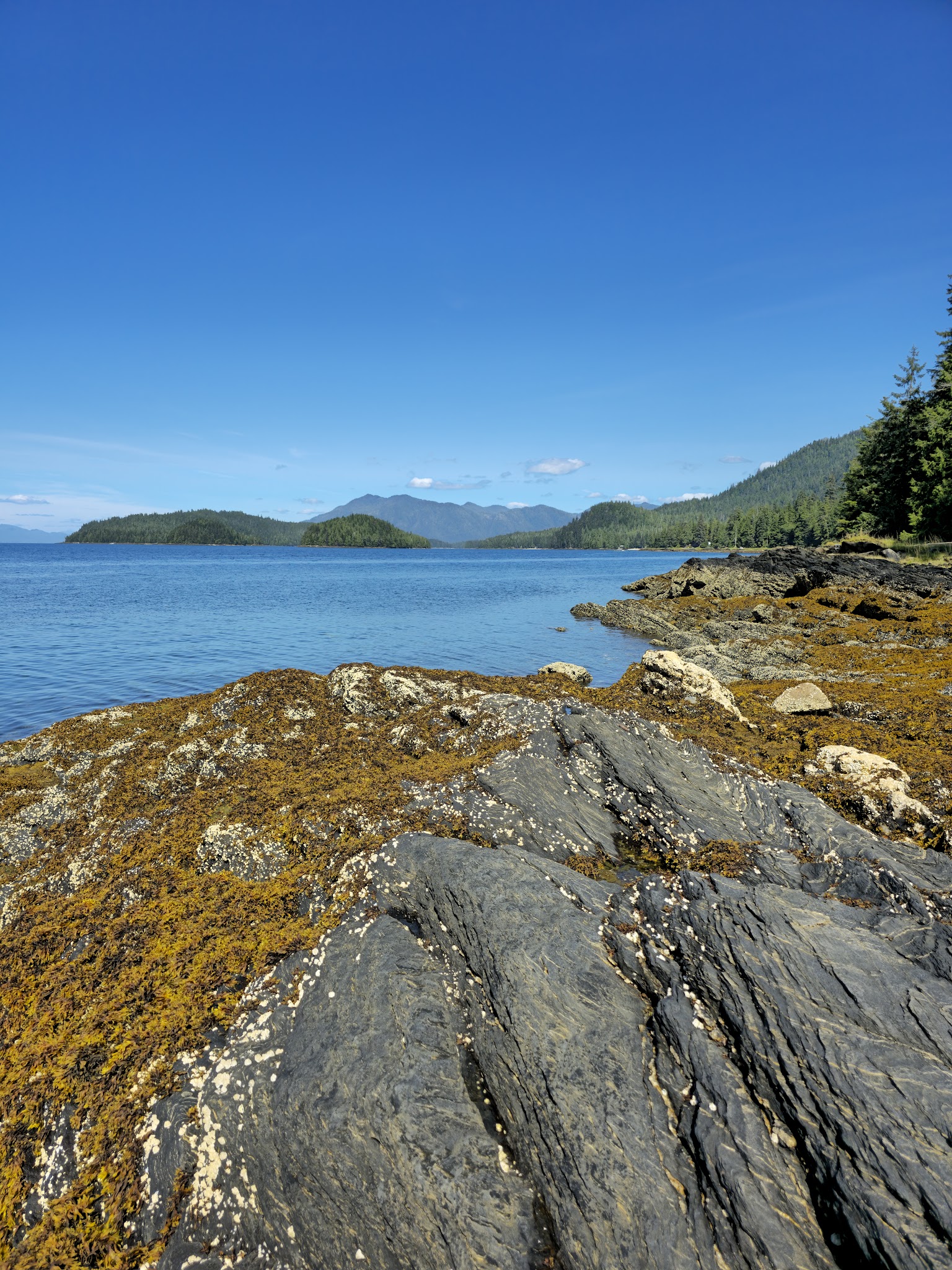 Settler&Apos;S Cove State Recreation Site