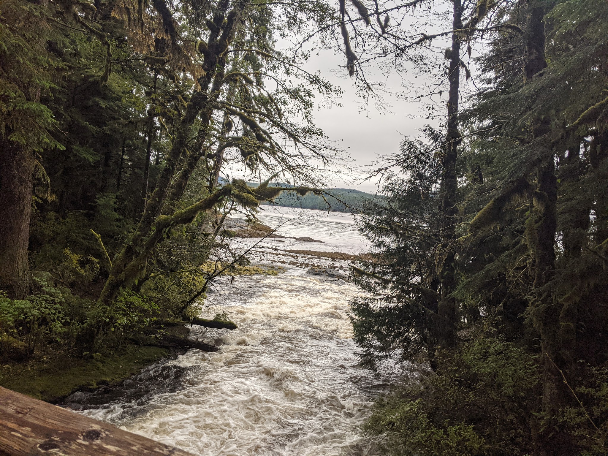 Settler&Apos;S Cove State Recreation Site