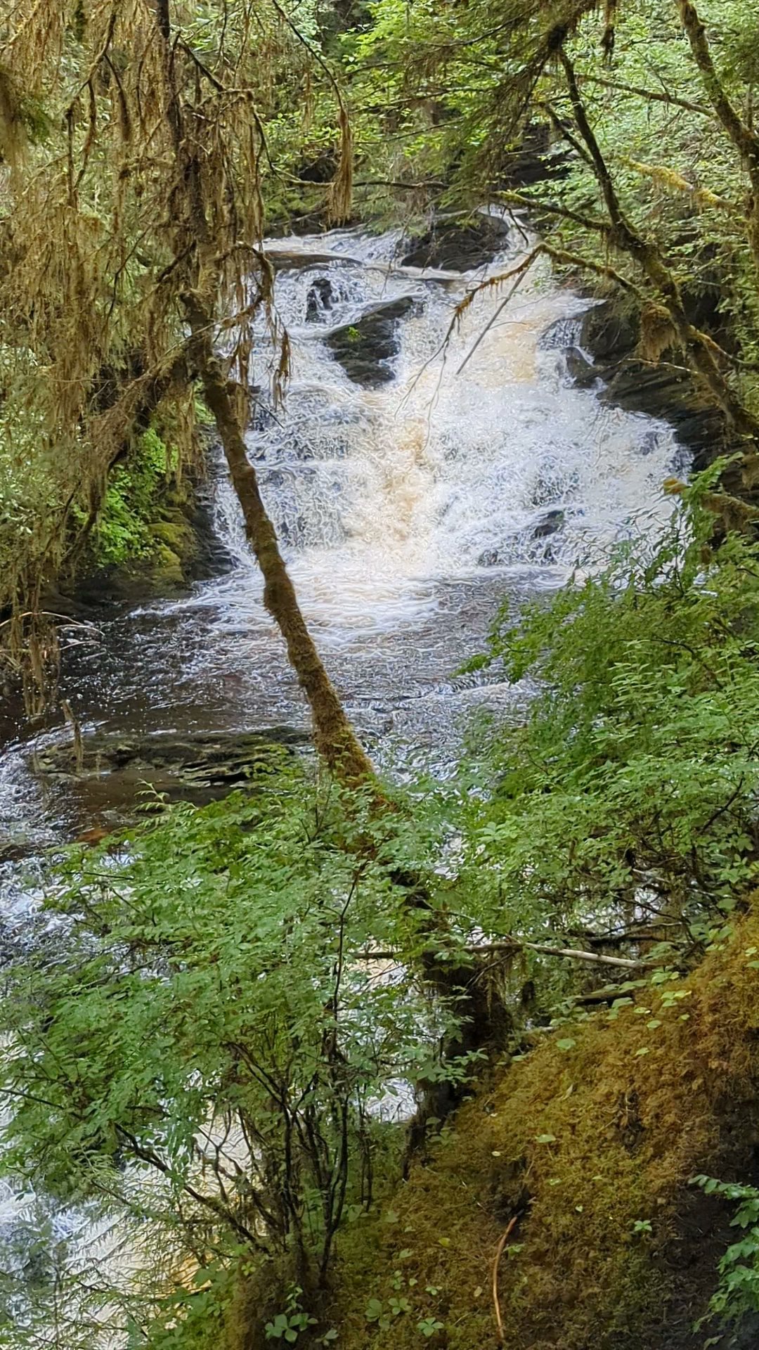 Settler&Apos;S Cove State Recreation Site