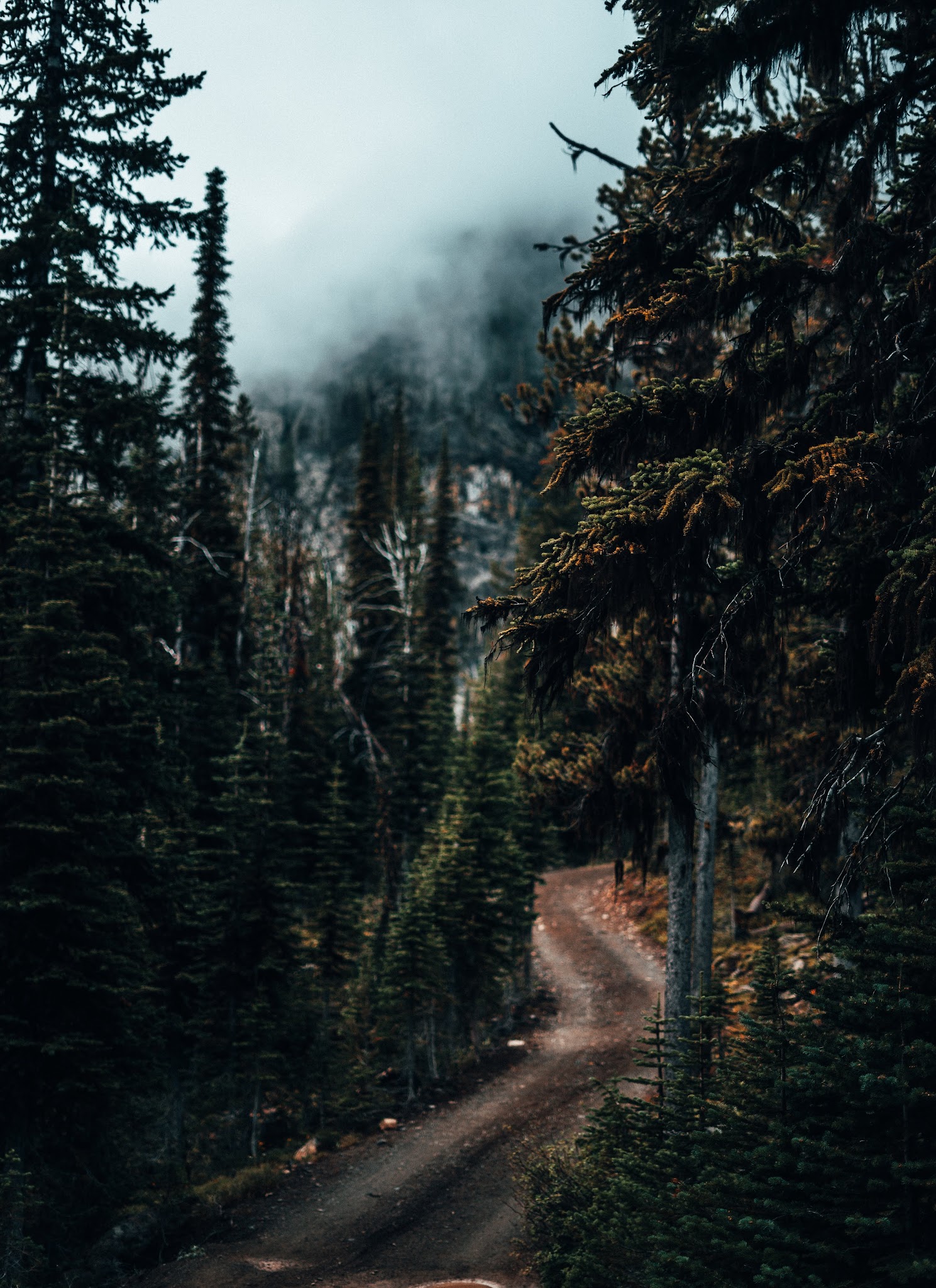 Seven Devils Campground