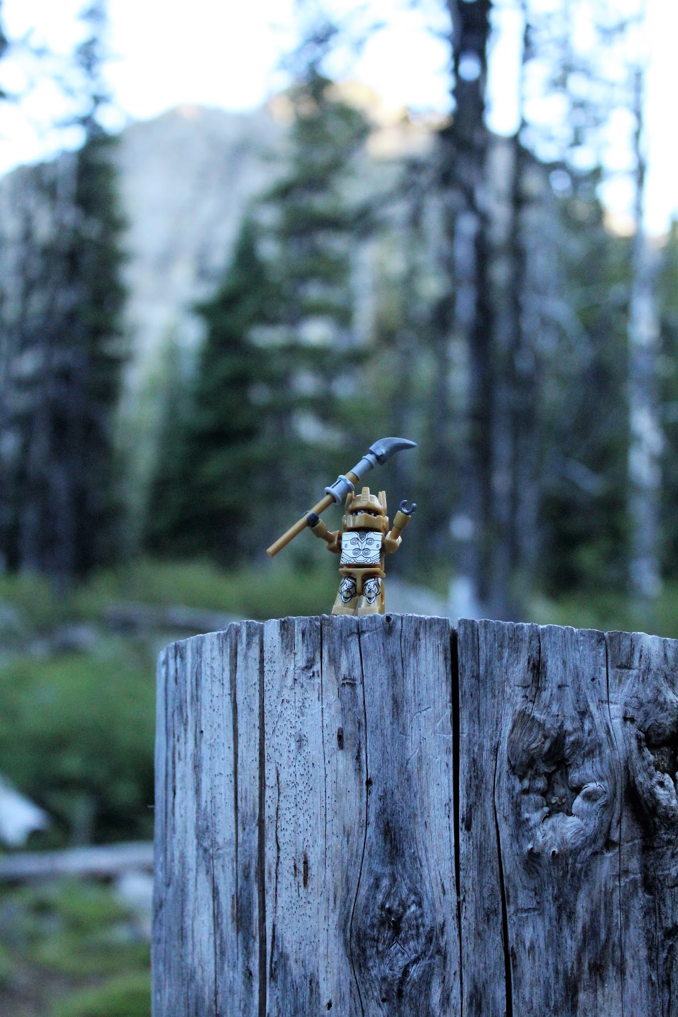 Seven Devils Campground