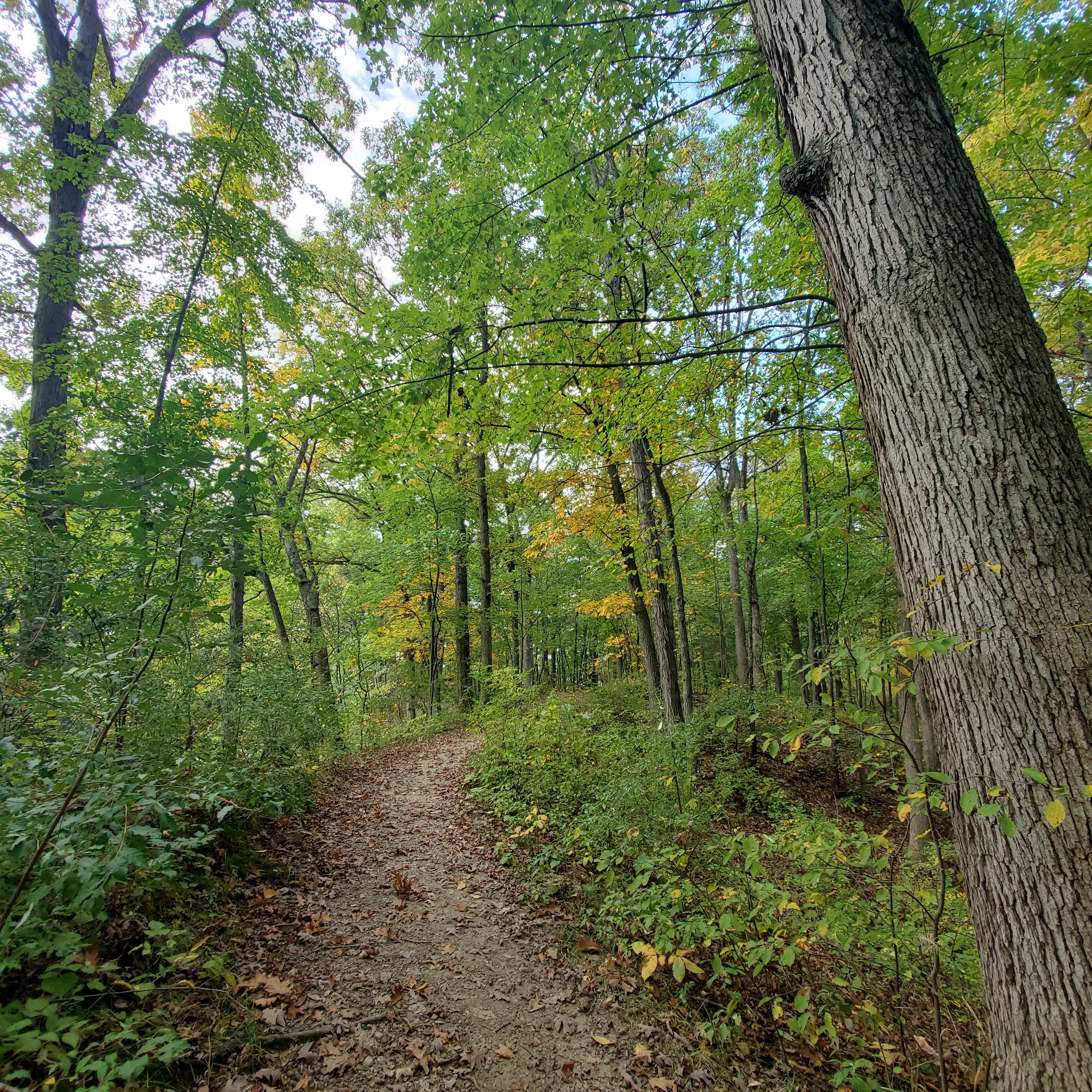 Seven Lakes Campground