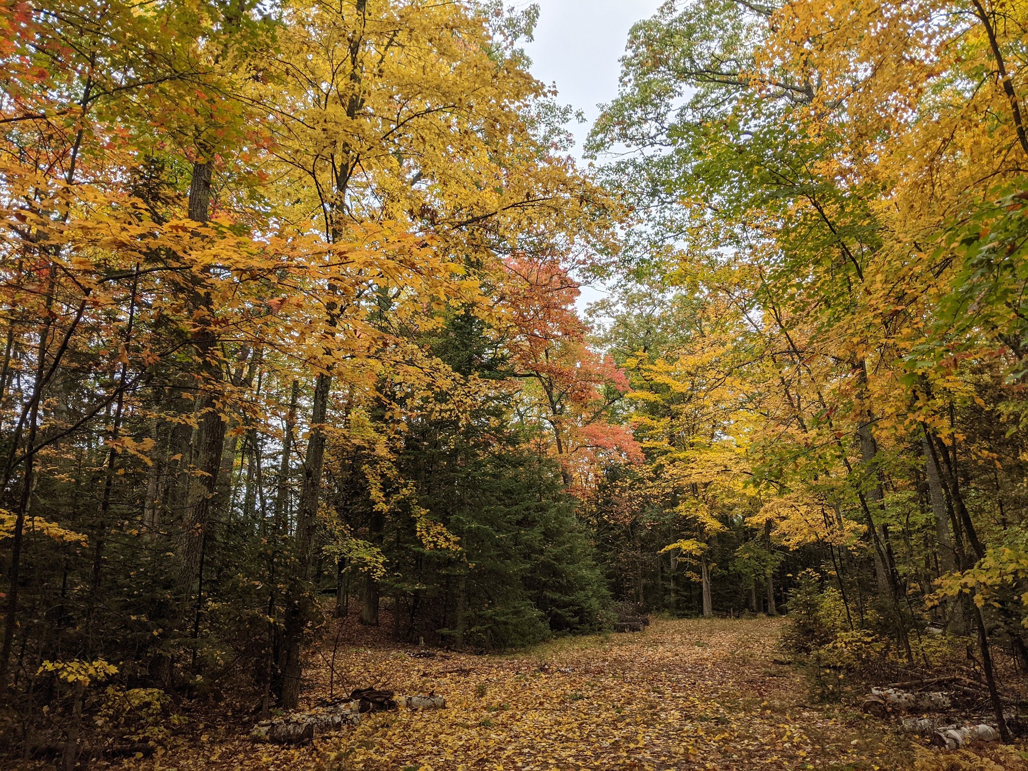 Sevenmile Lake Recreation Area