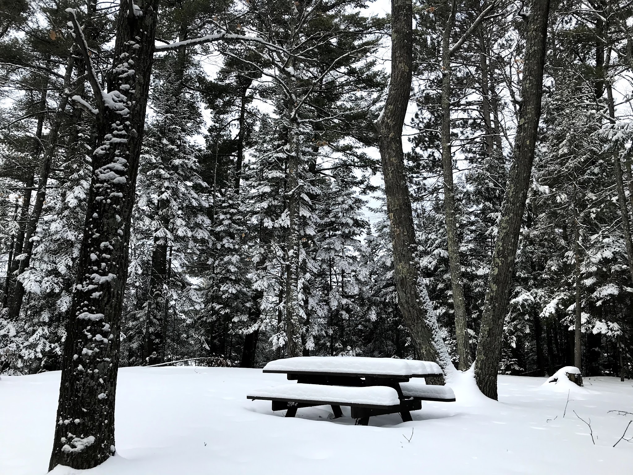 Sevenmile Lake Recreation Area