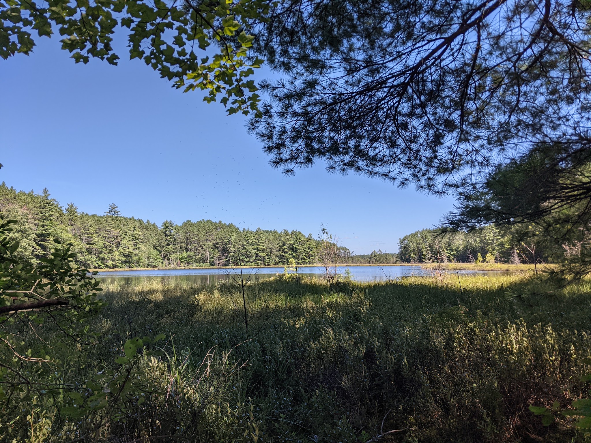 Sevenmile Lake Recreation Area
