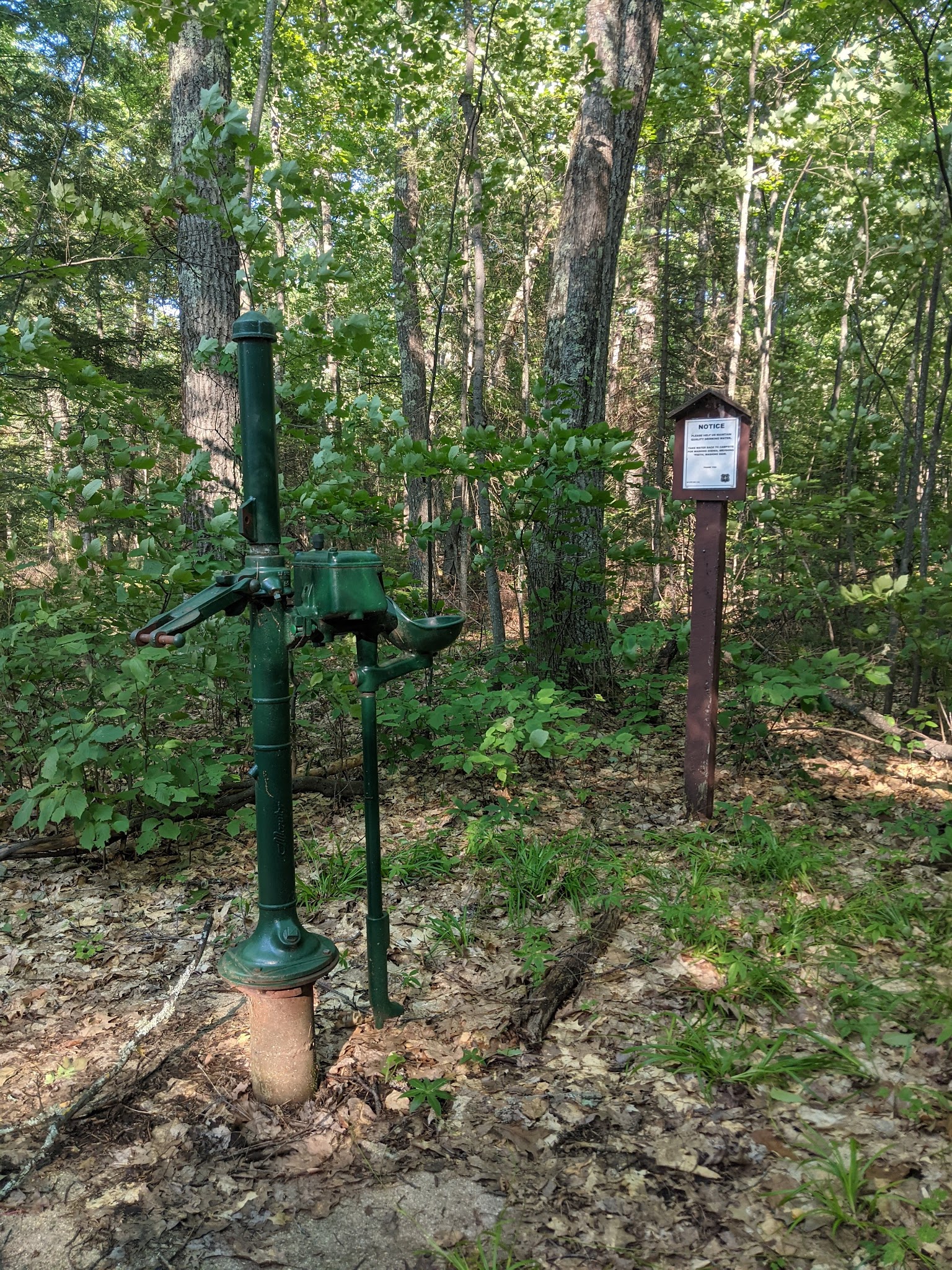 Sevenmile Lake Recreation Area