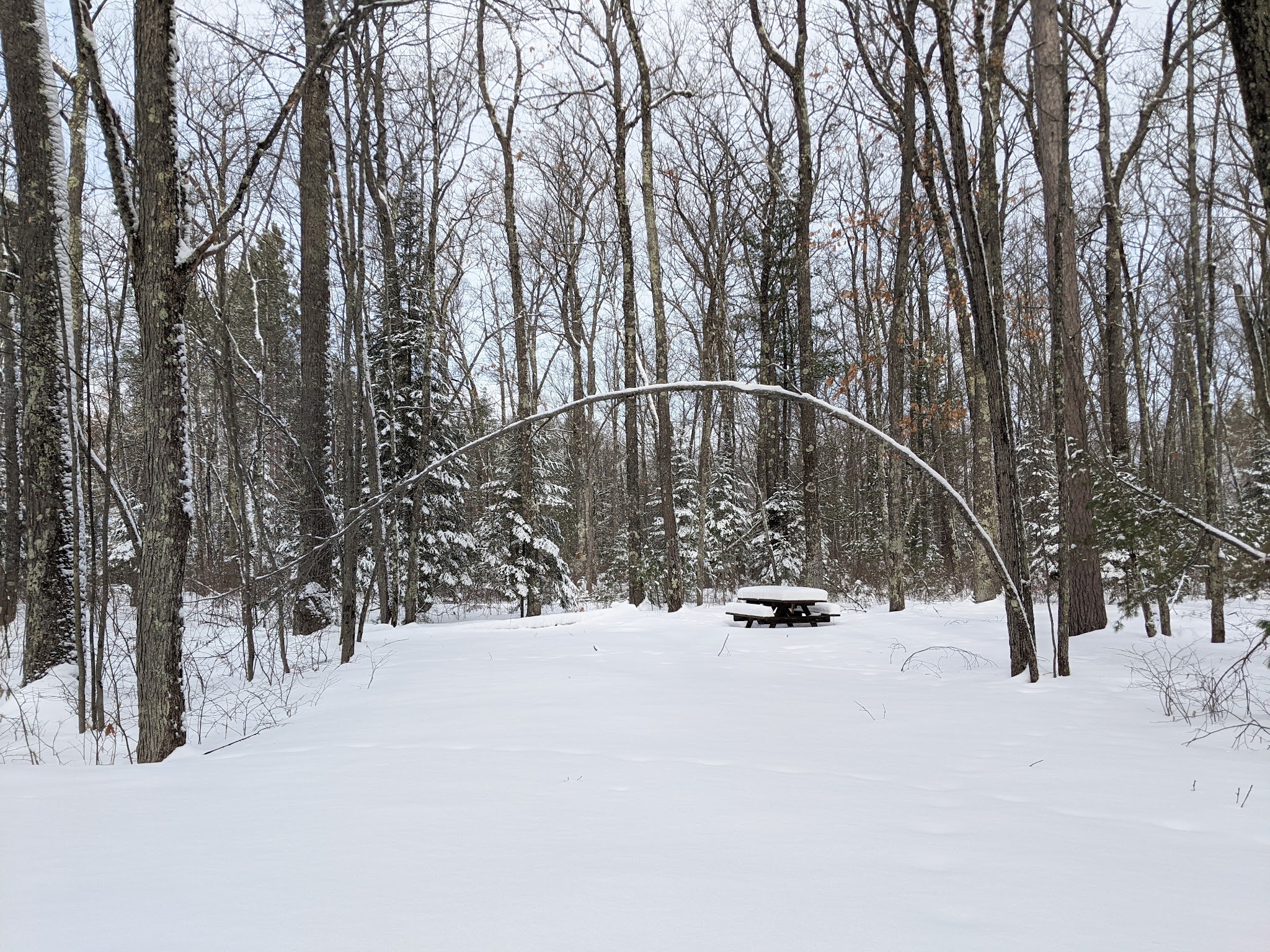 Sevenmile Lake Recreation Area