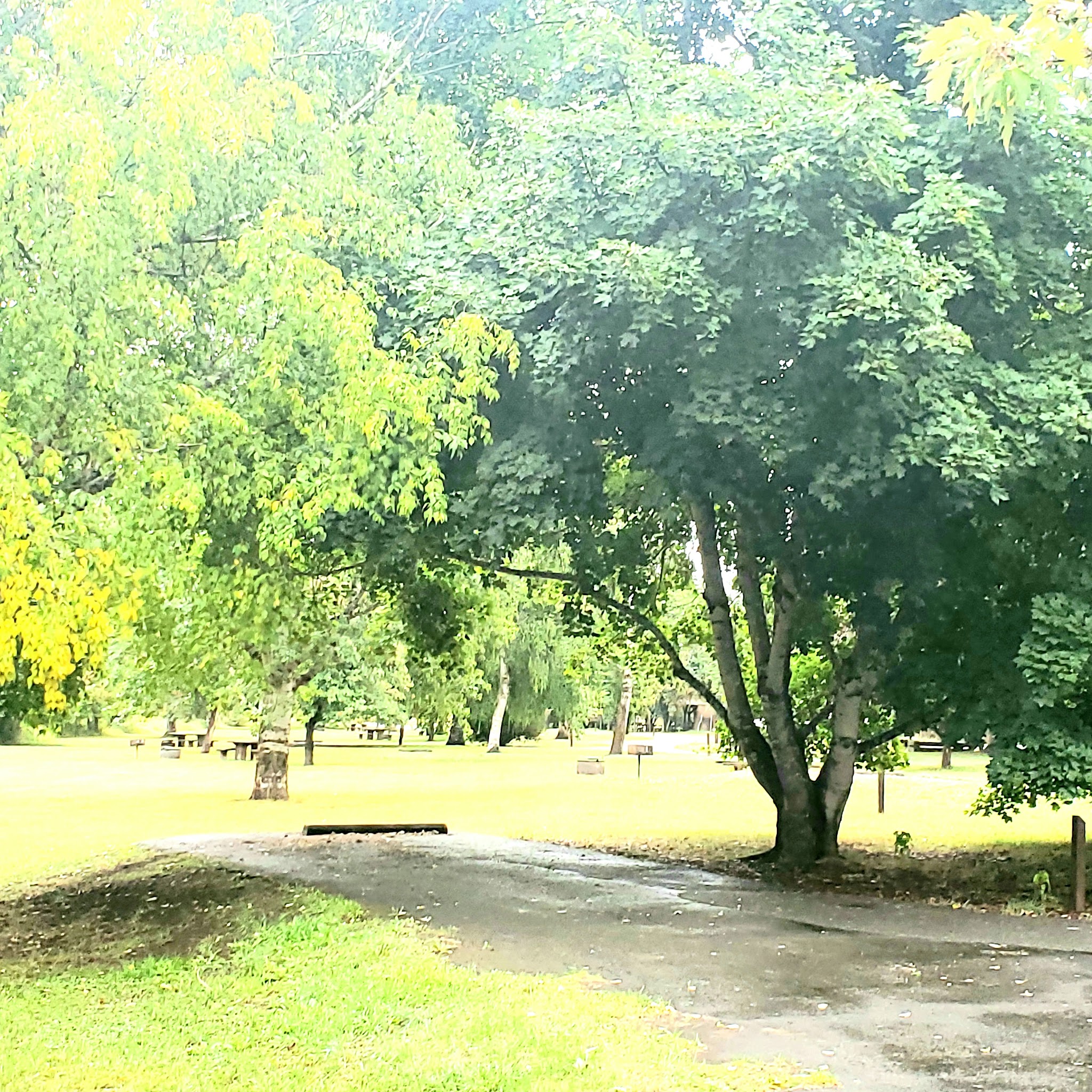 Shadowy St. Joe Campground