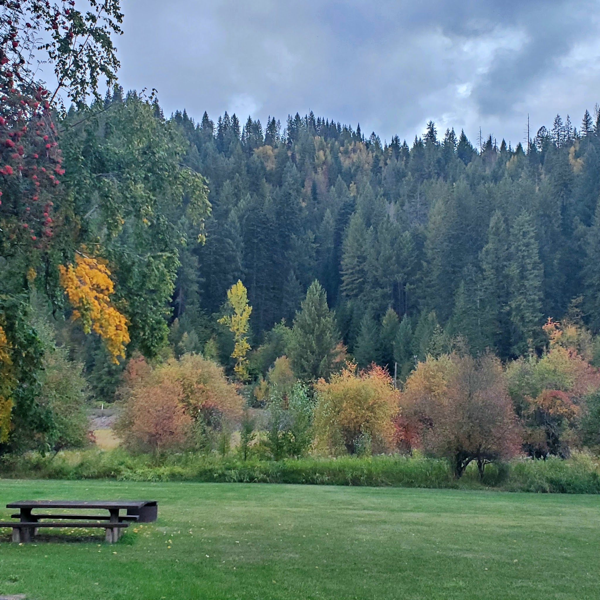 Shadowy St. Joe Campground