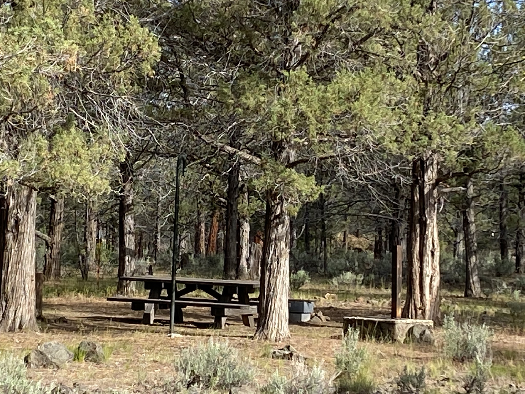 Shafter Campground