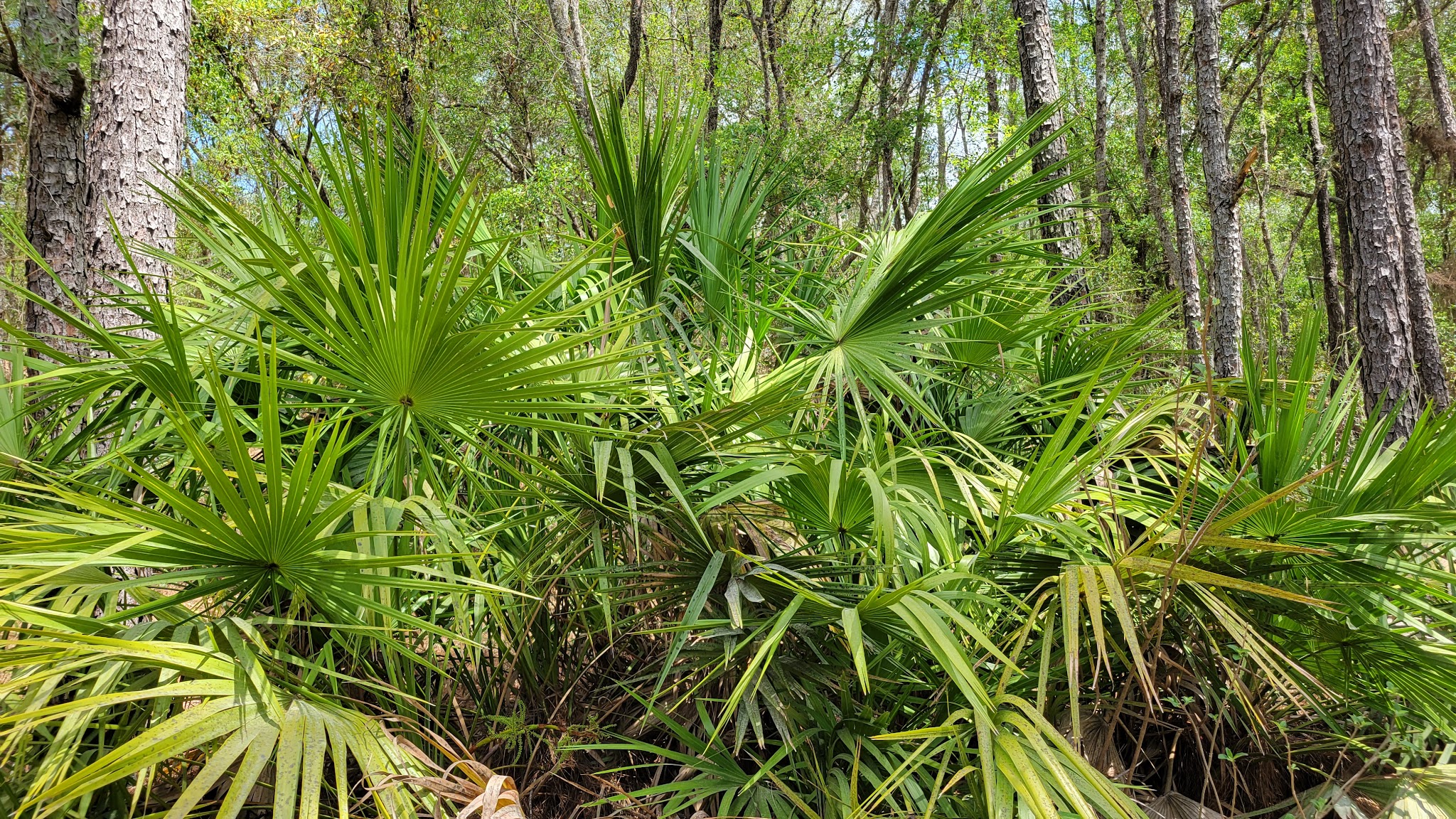 Shangri-La Campground