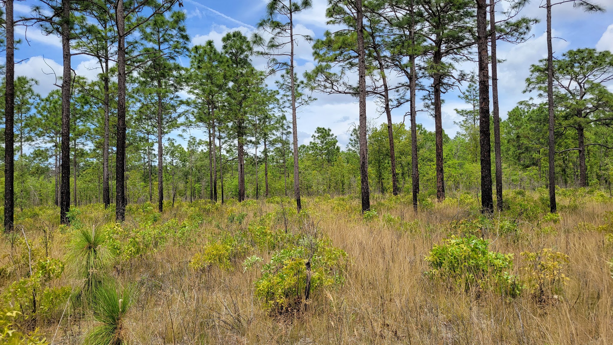 Shangri-La Campground