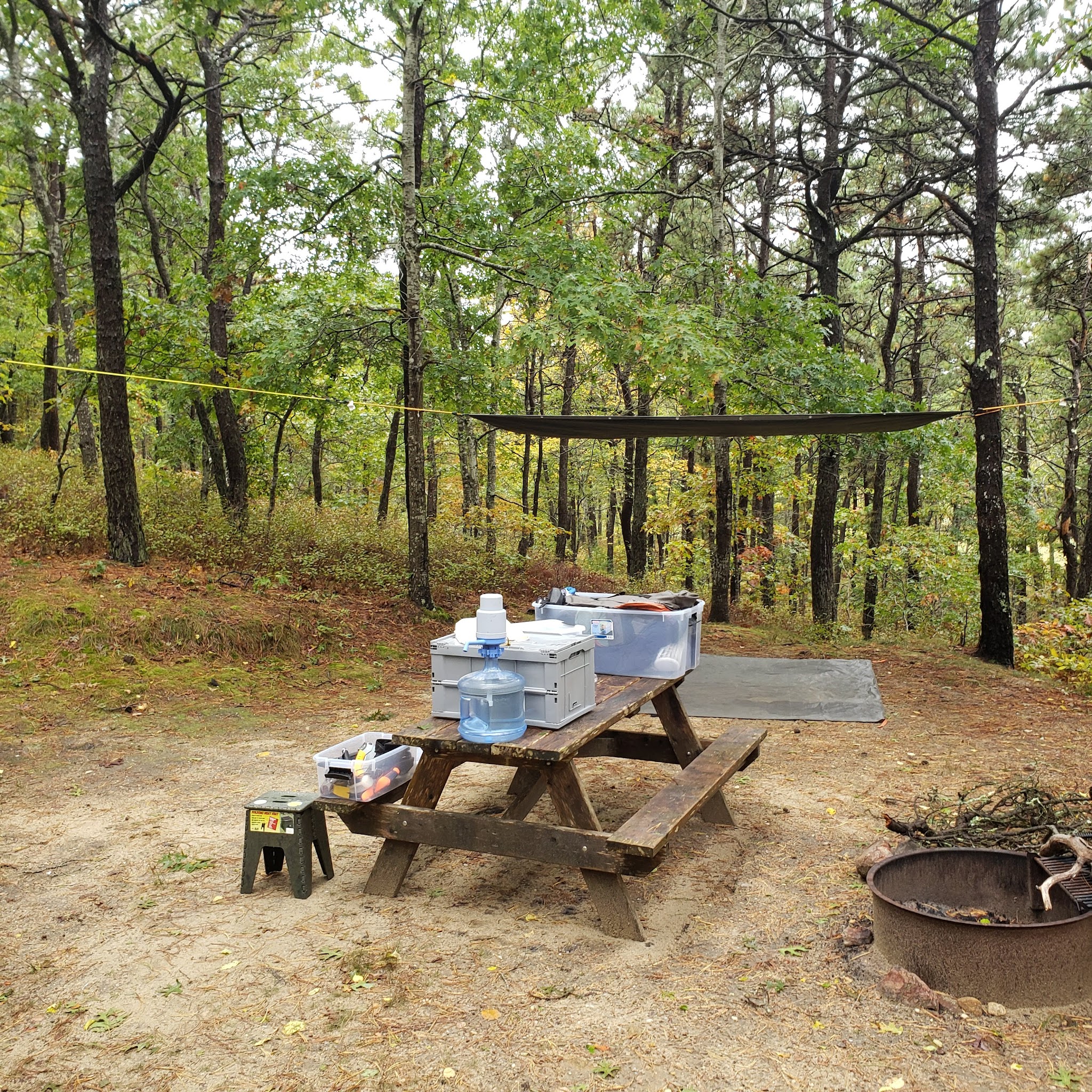 Shawme Crowell State Forest