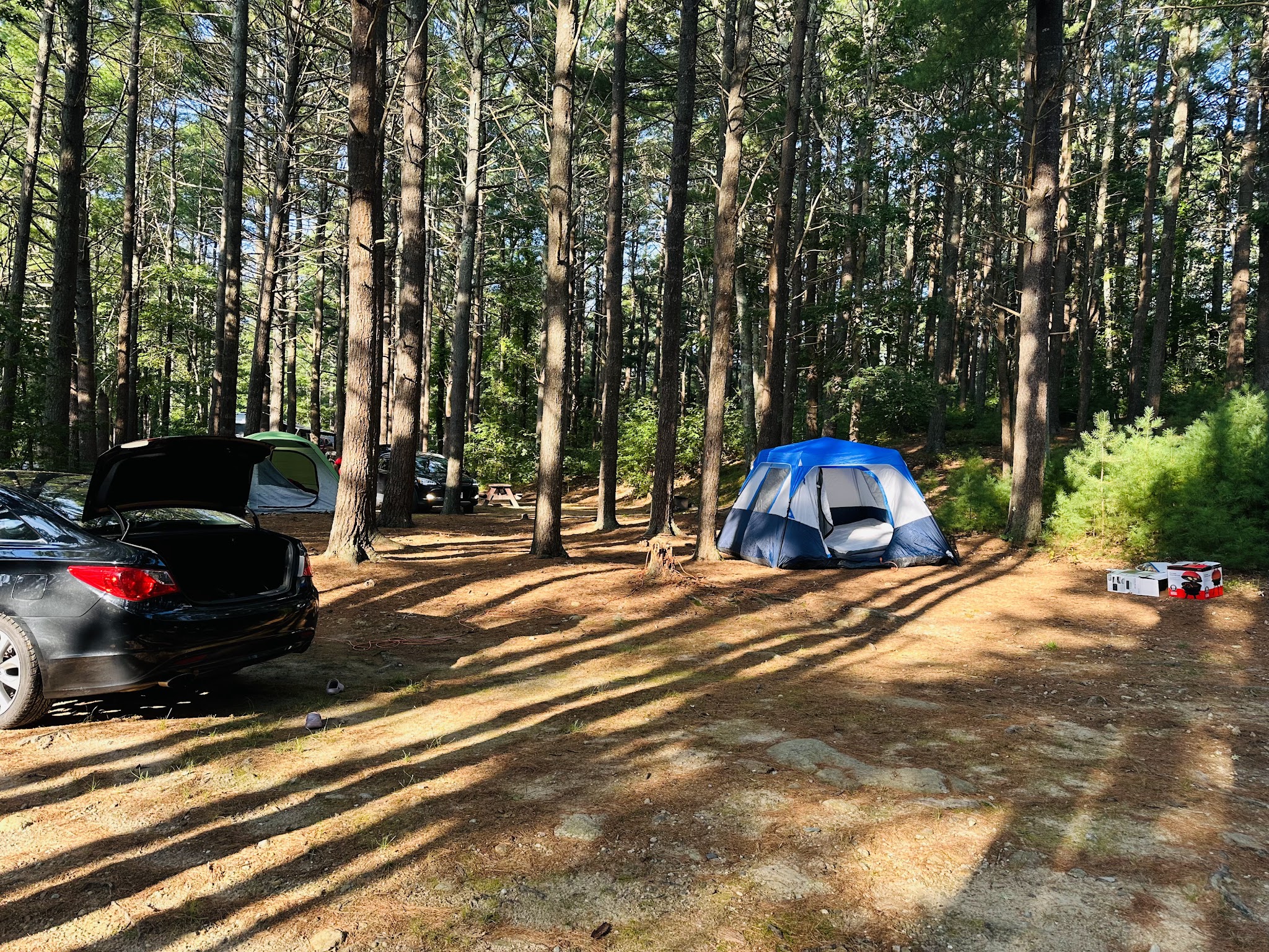 Shawme Crowell State Forest