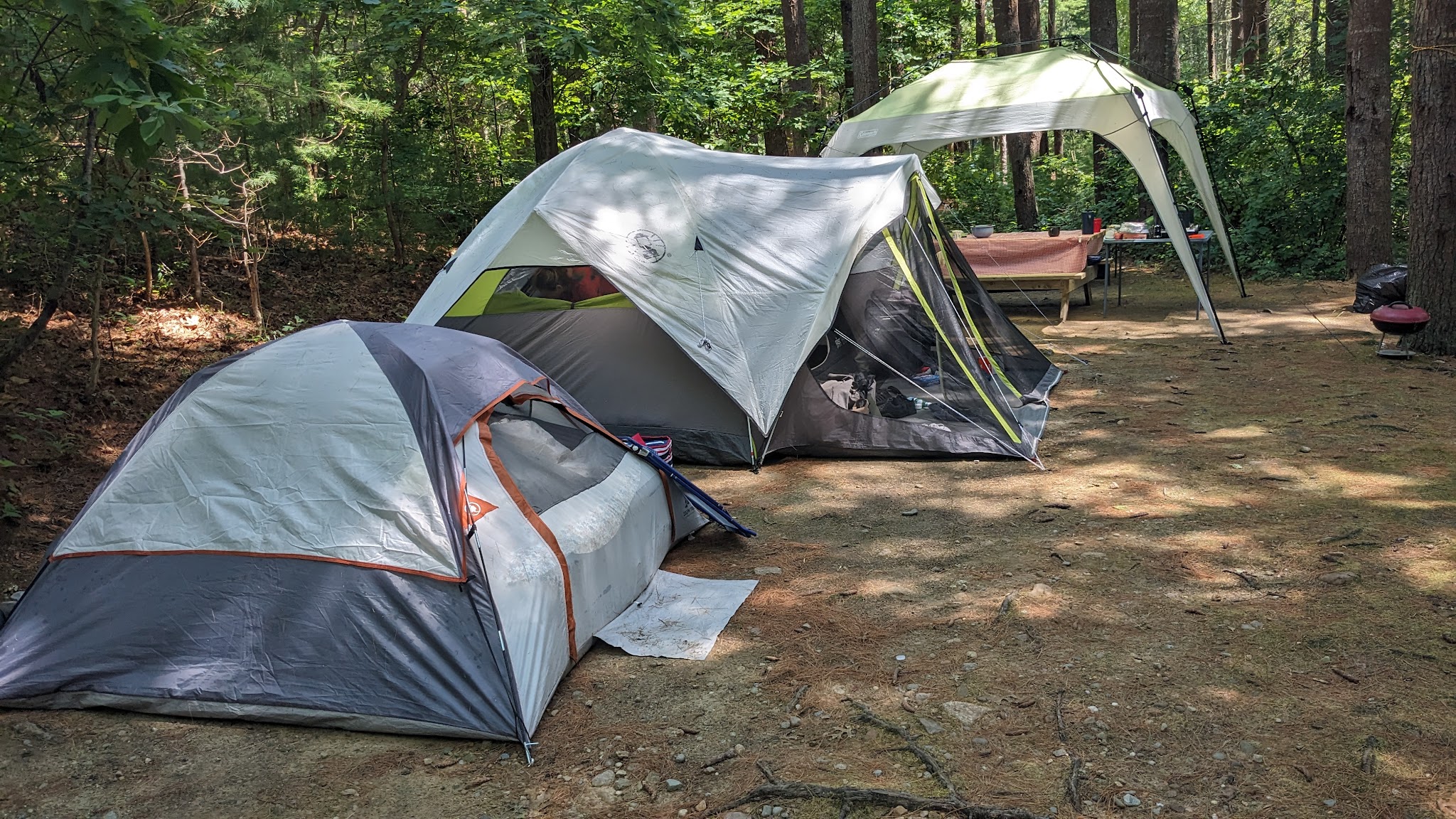 Shawme Crowell State Forest