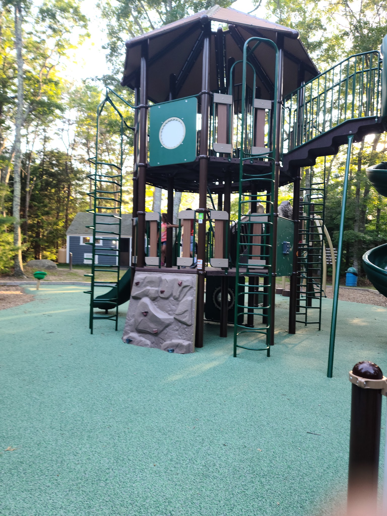 Shawme Crowell State Forest