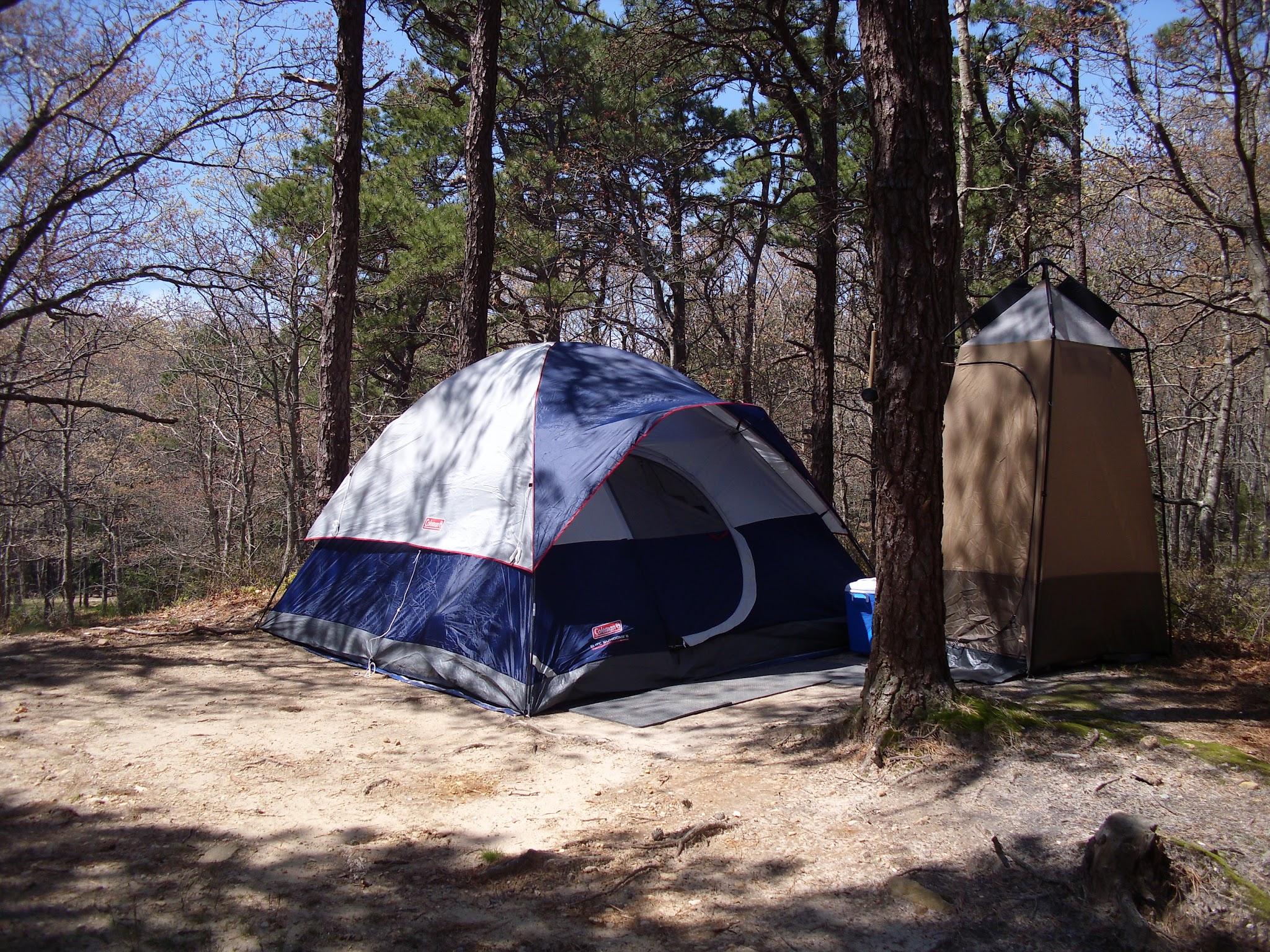 Shawme Crowell State Forest