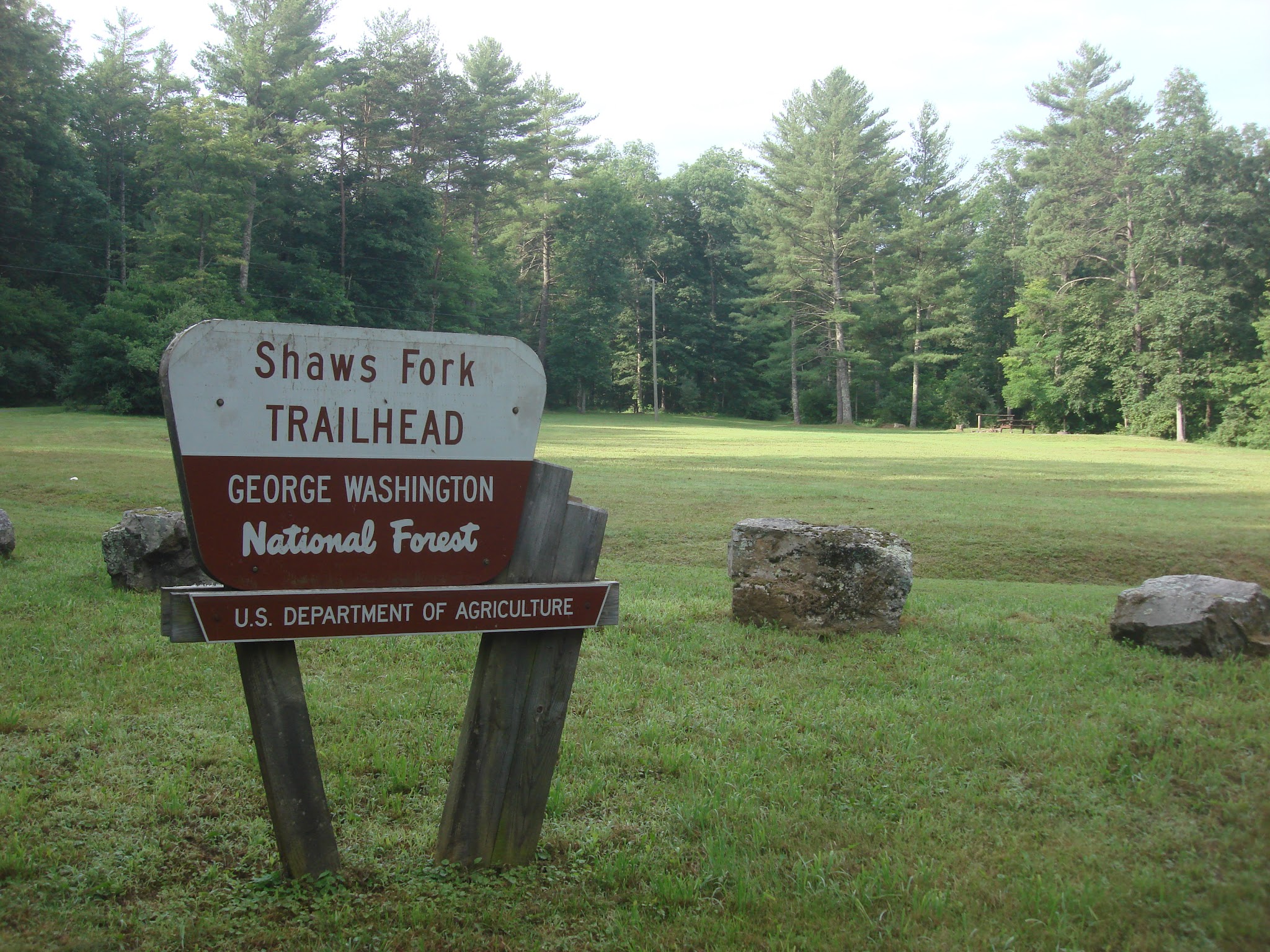 Shaws Fork Campground