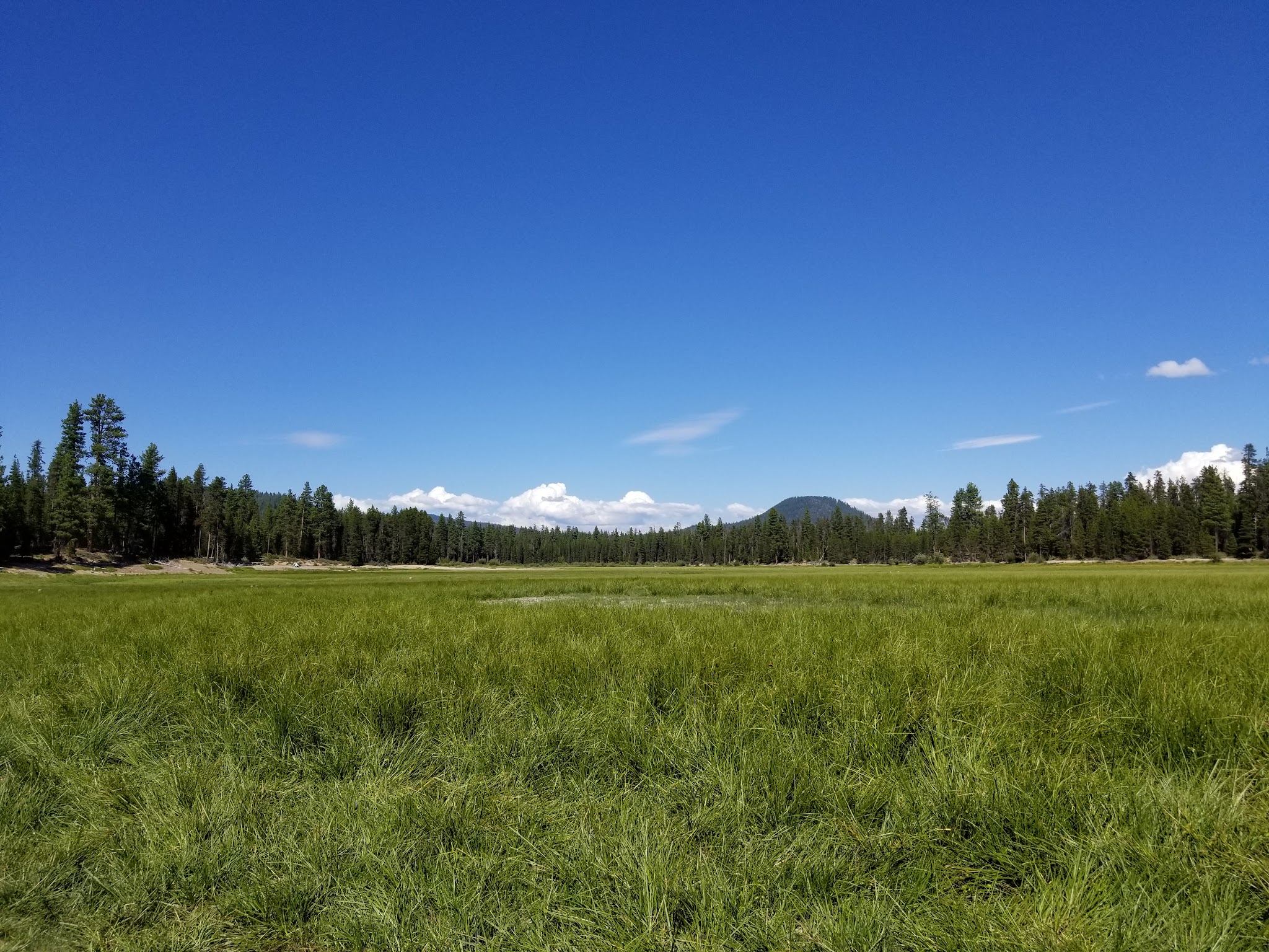 Sheep Bridge Campground