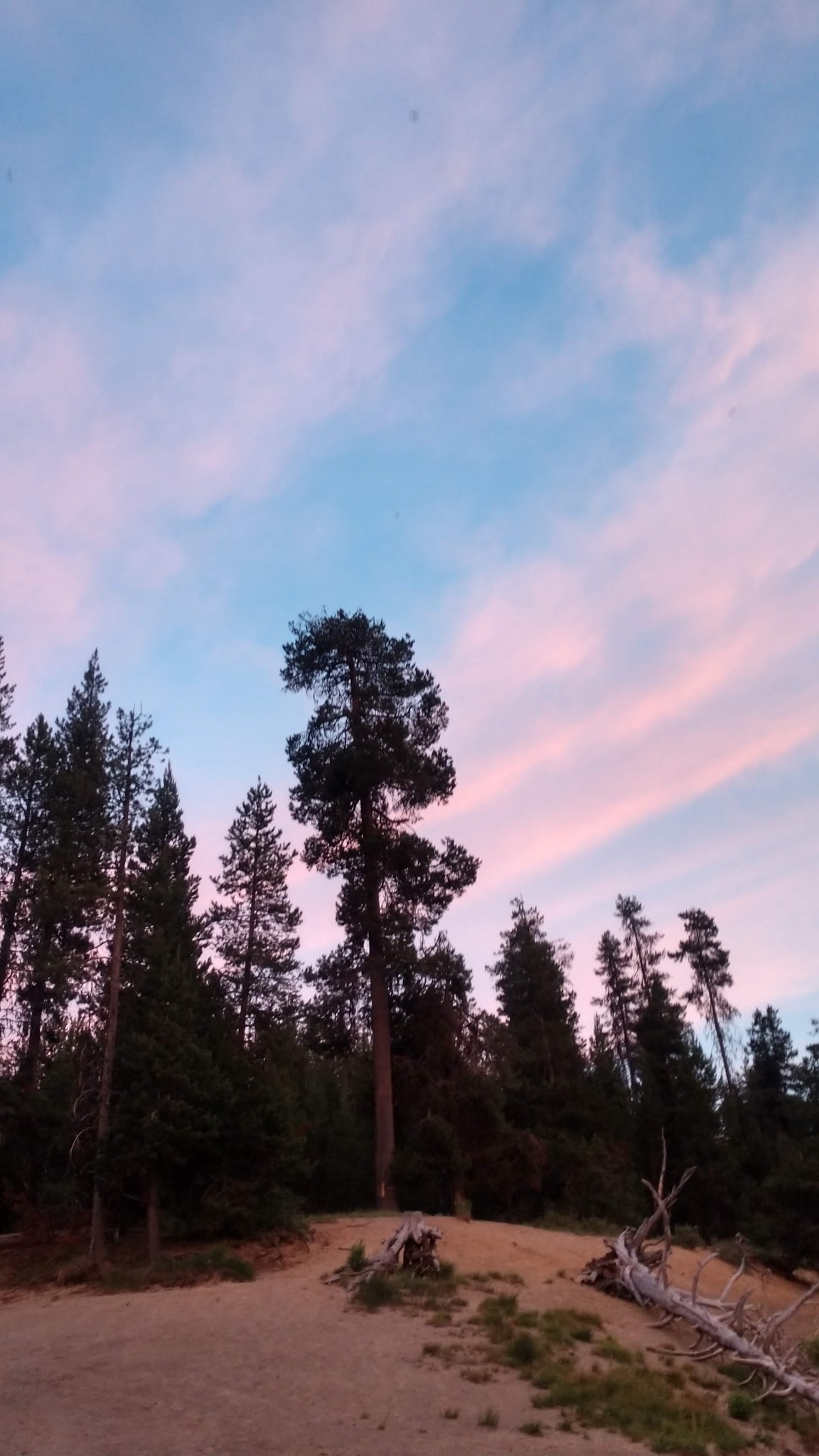 Sheep Bridge Campground