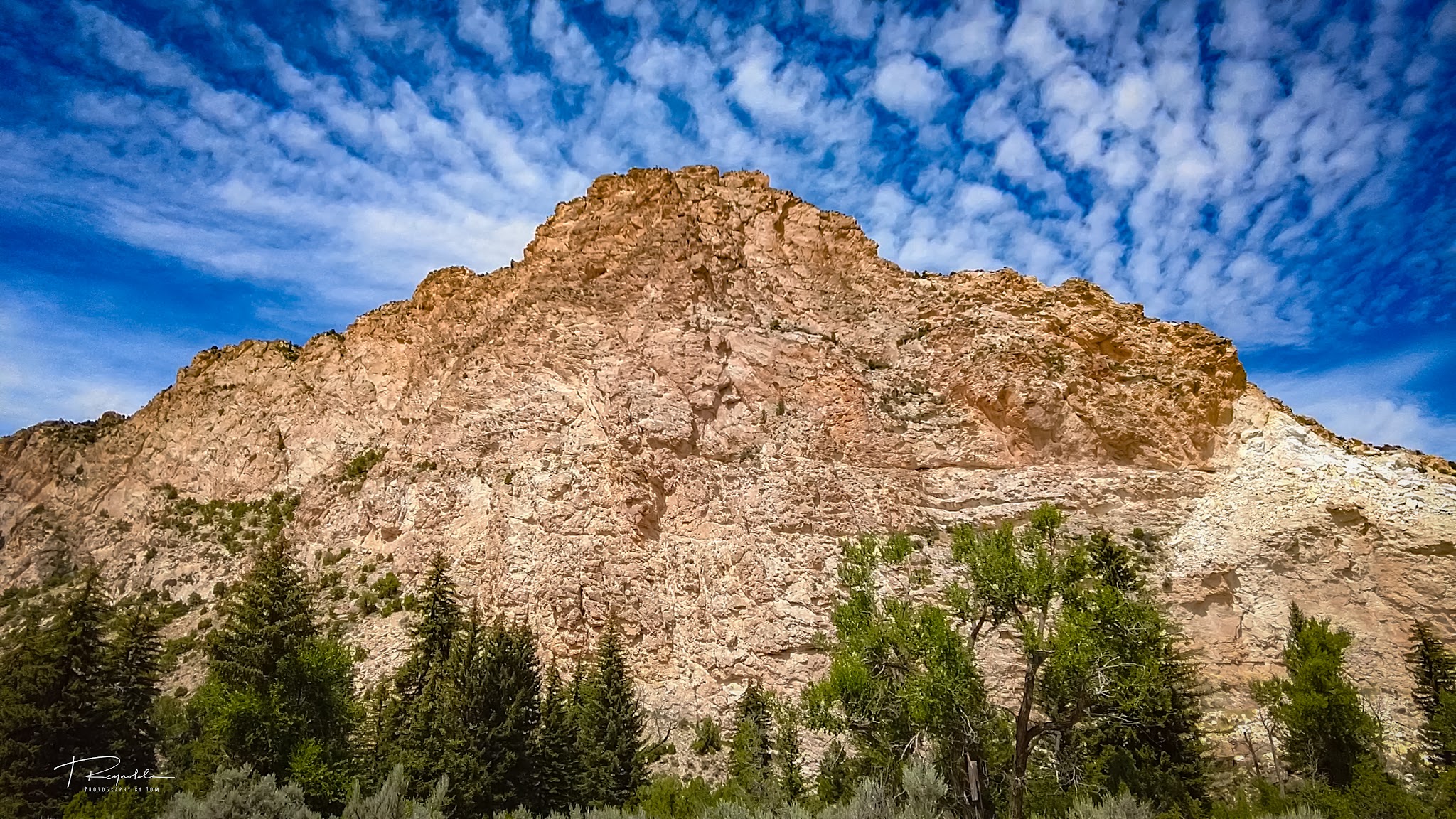 Sheep Creek Bay Campground