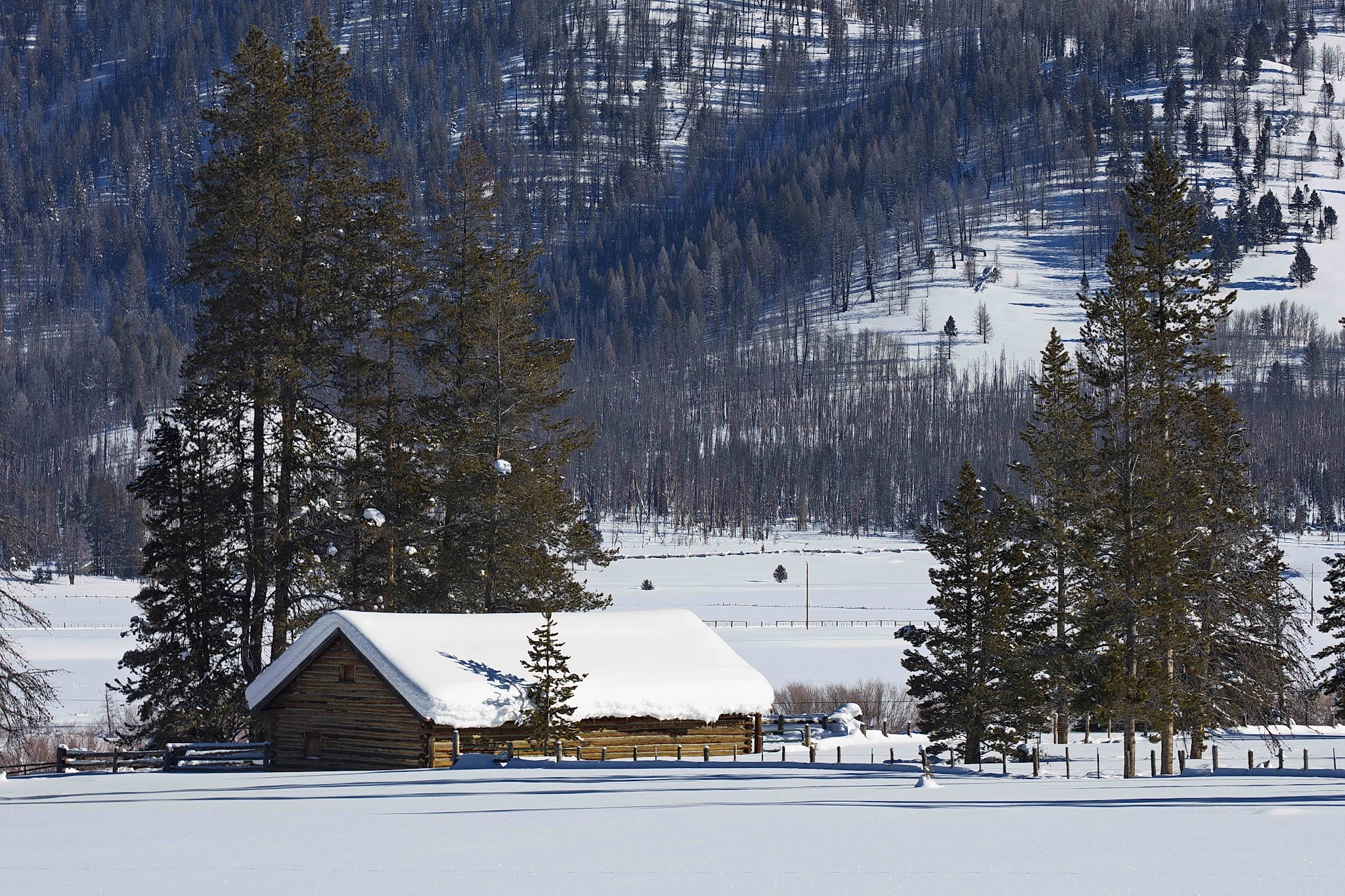 Sheep Trail Campground