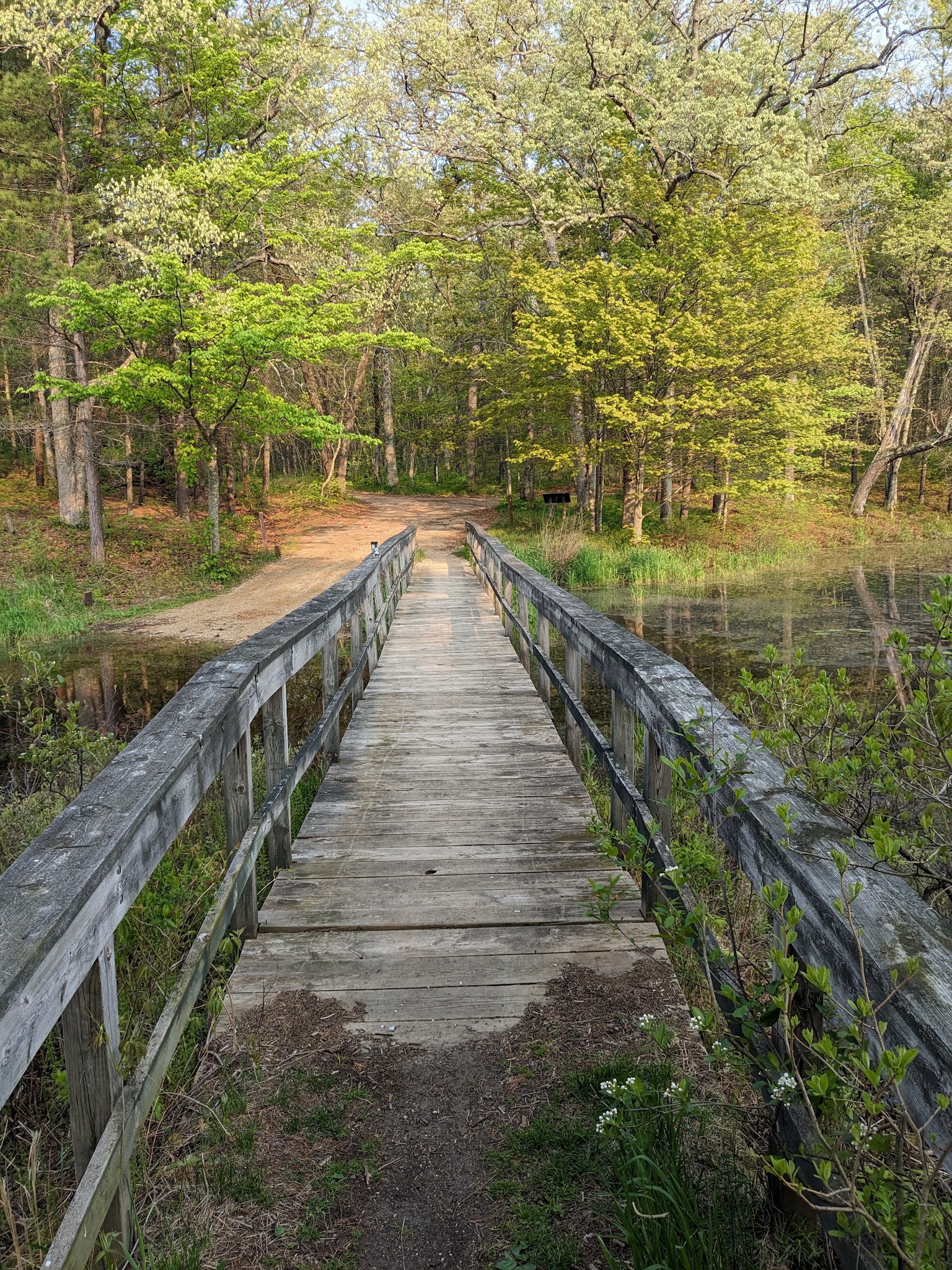 Shelley Lake Campground
