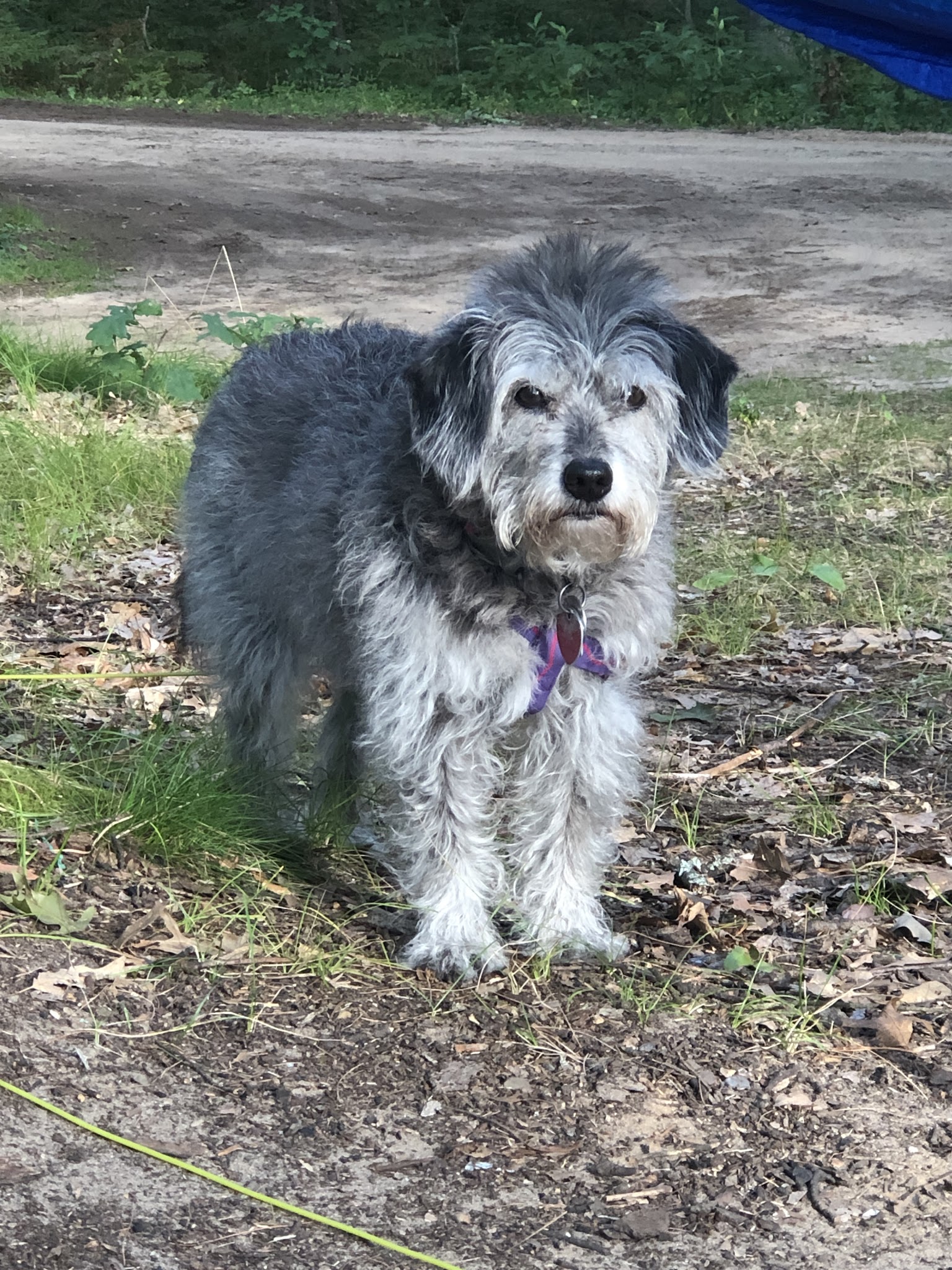 Shelley Lake Campground