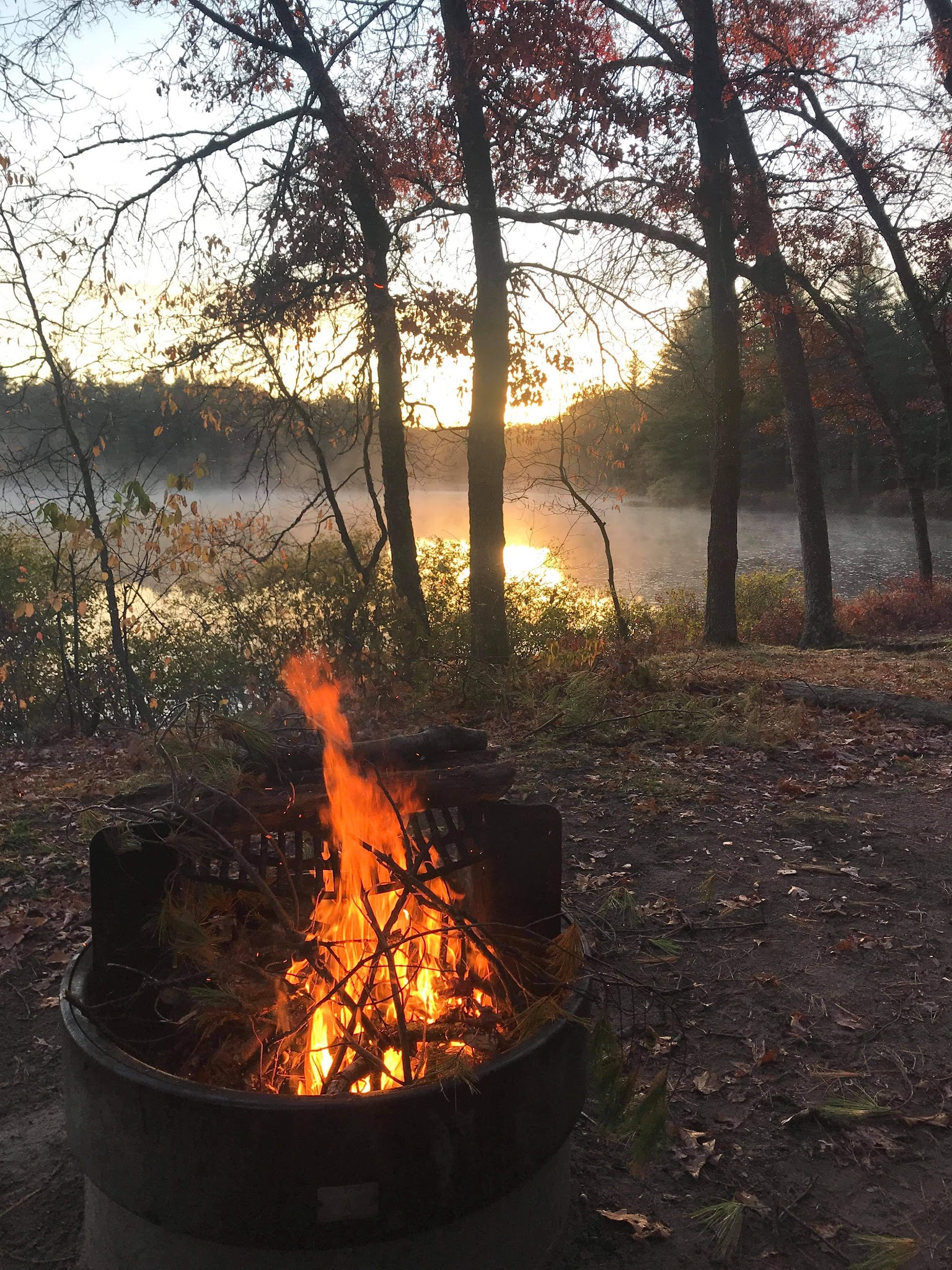 Shelley Lake Campground