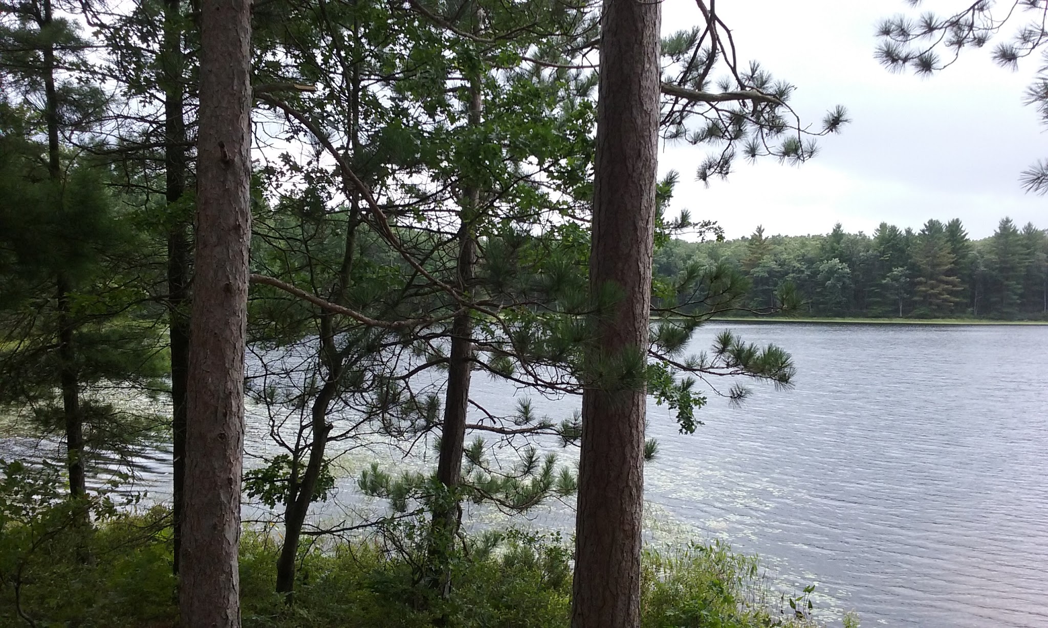 Shelley Lake Campground