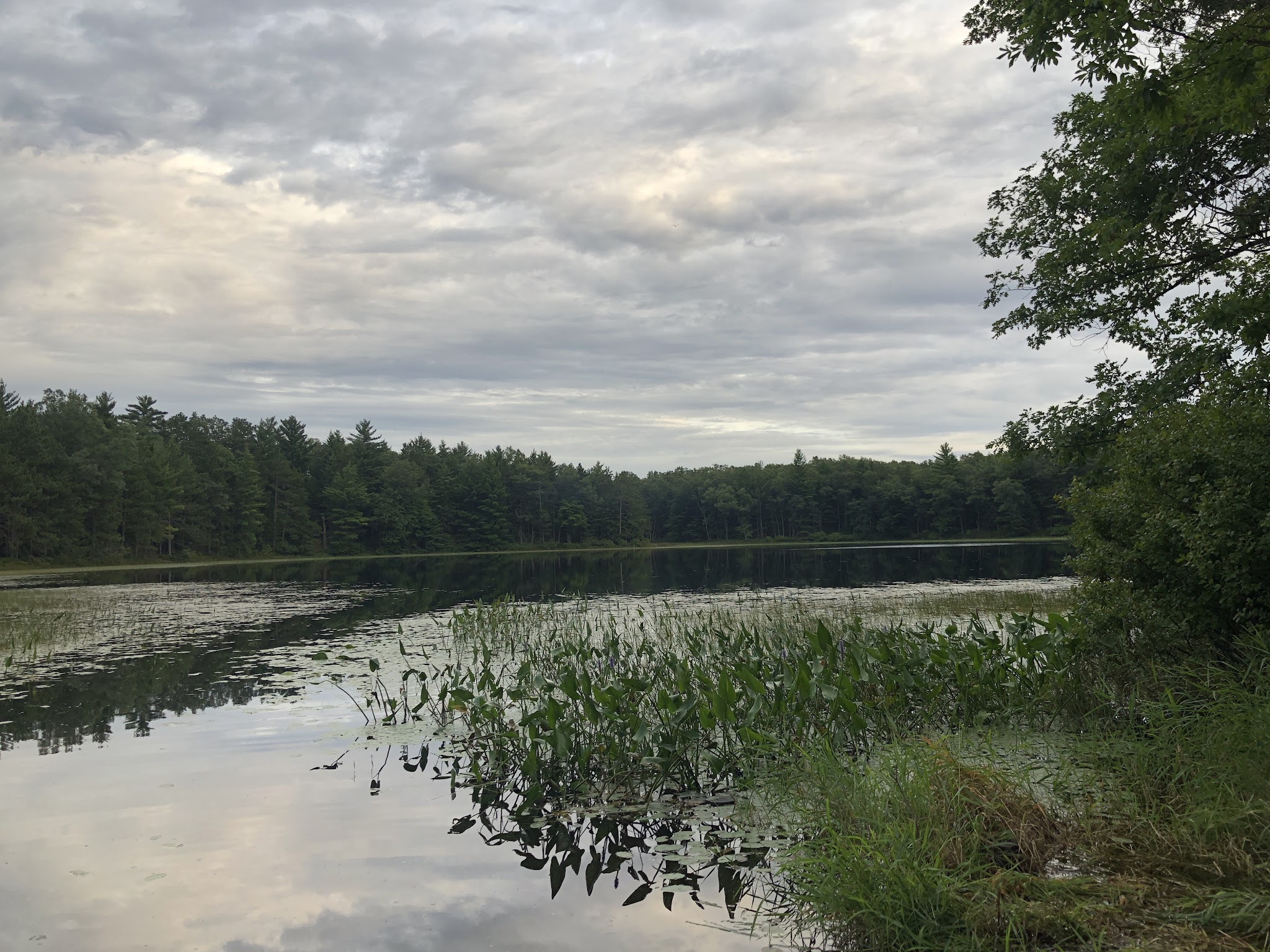 Shelley Lake Campground