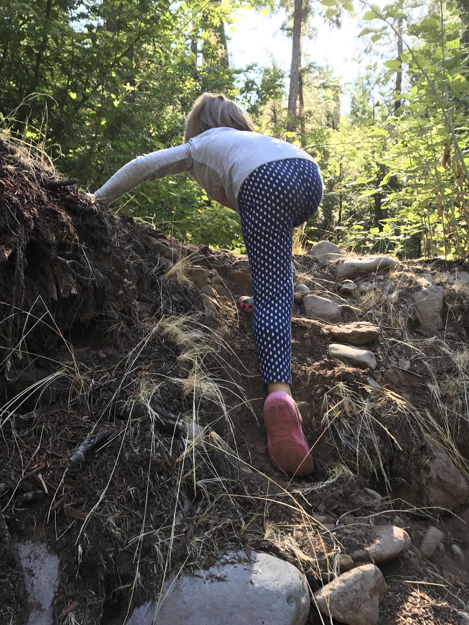 Shellrock Creek Campground