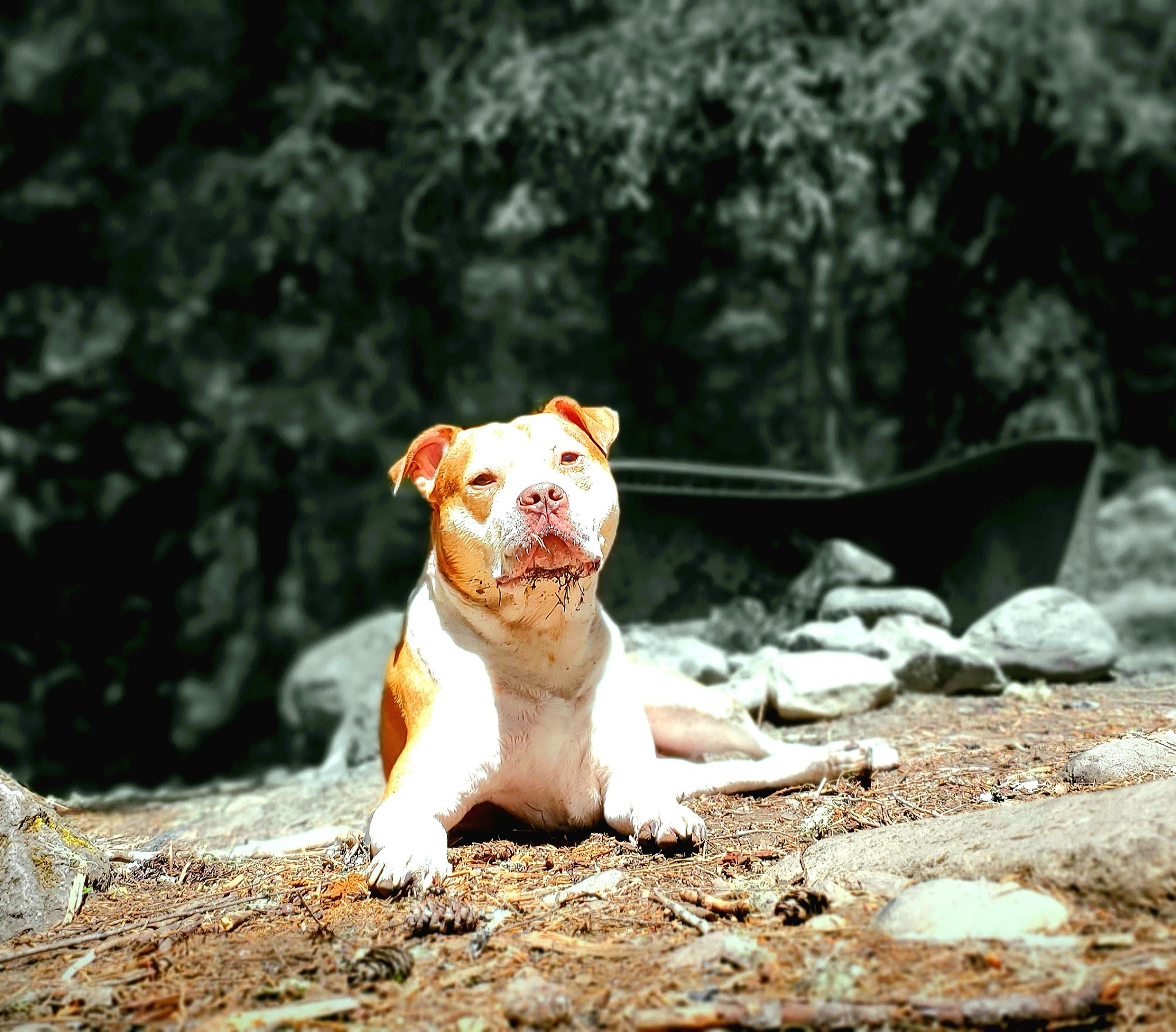 Shellrock Creek Campground