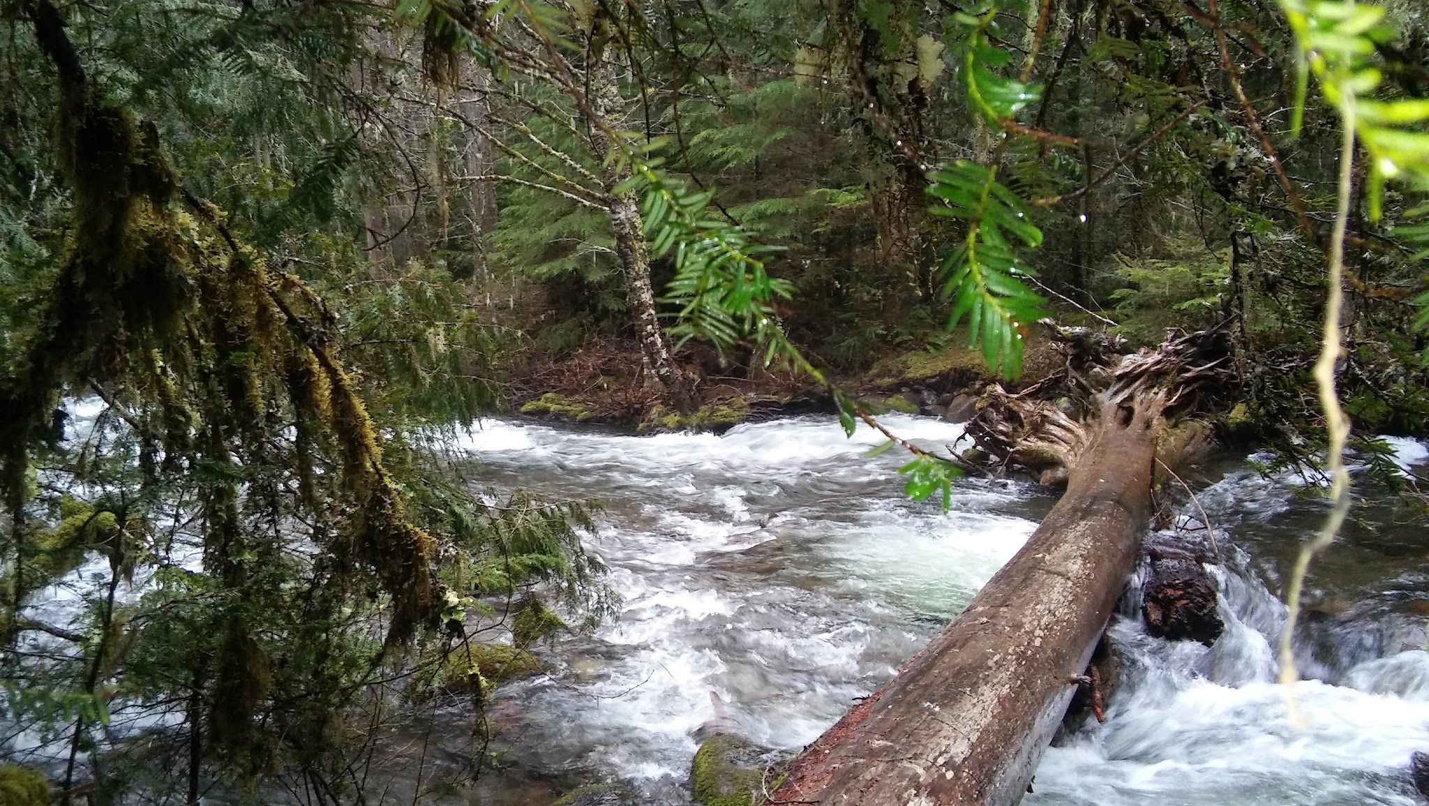 Shellrock Creek Campground